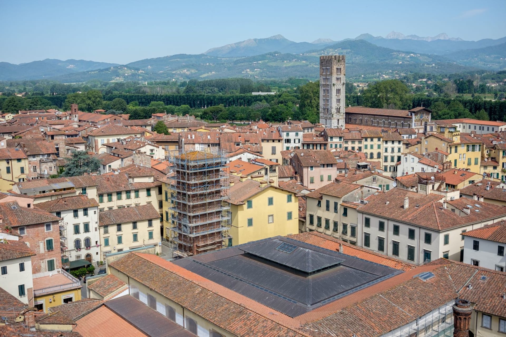 Lucca's broad tree-lined ramparts seen from inside the city, cyclists passing under an avenue of plane trees with the city's towers visible beyond