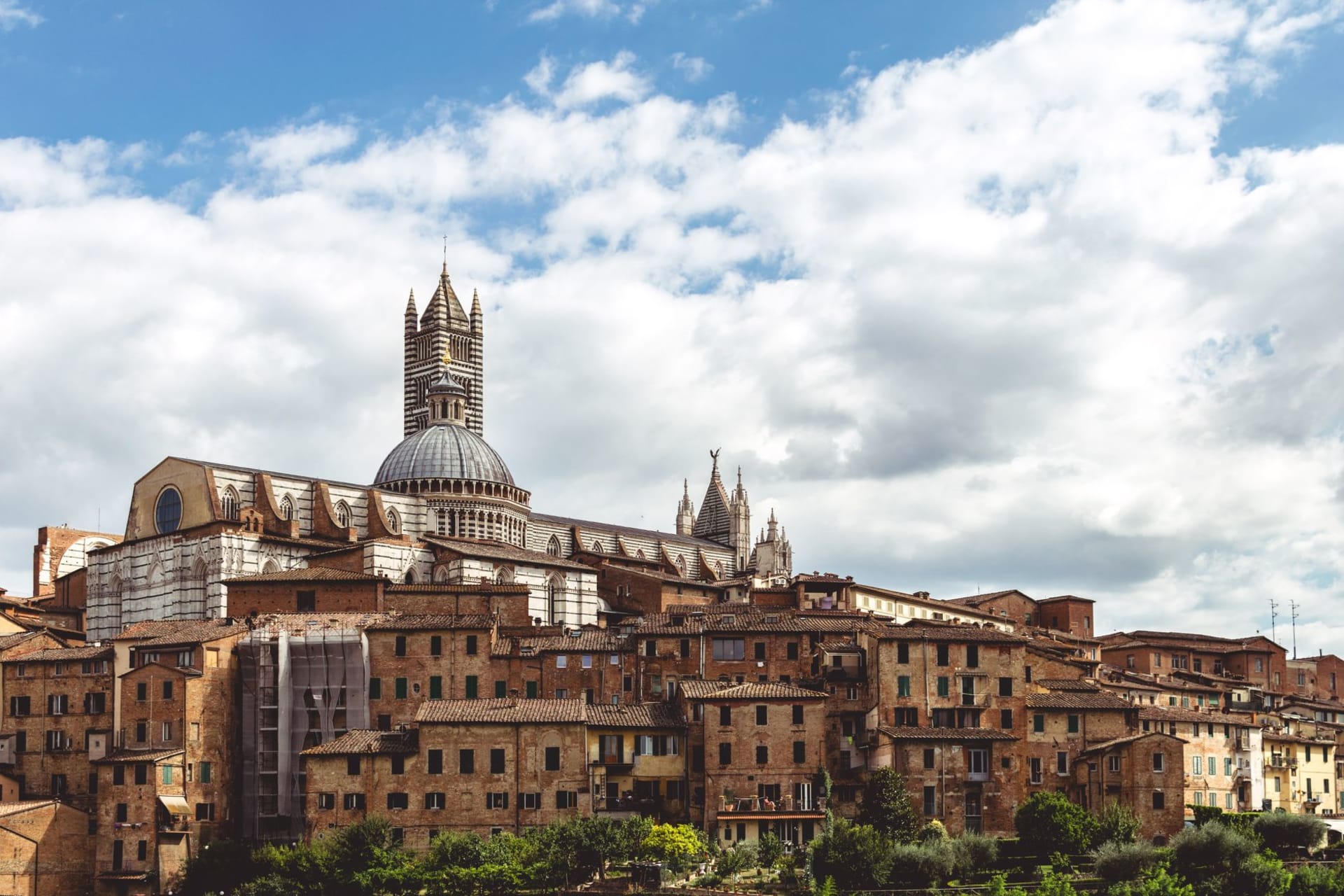 La Piazza del Campo en éventail vue d'en haut, son pavage de brique en arêtes de poisson rougeoyant d'un rouge rouille dans la lumière de l'après-midi