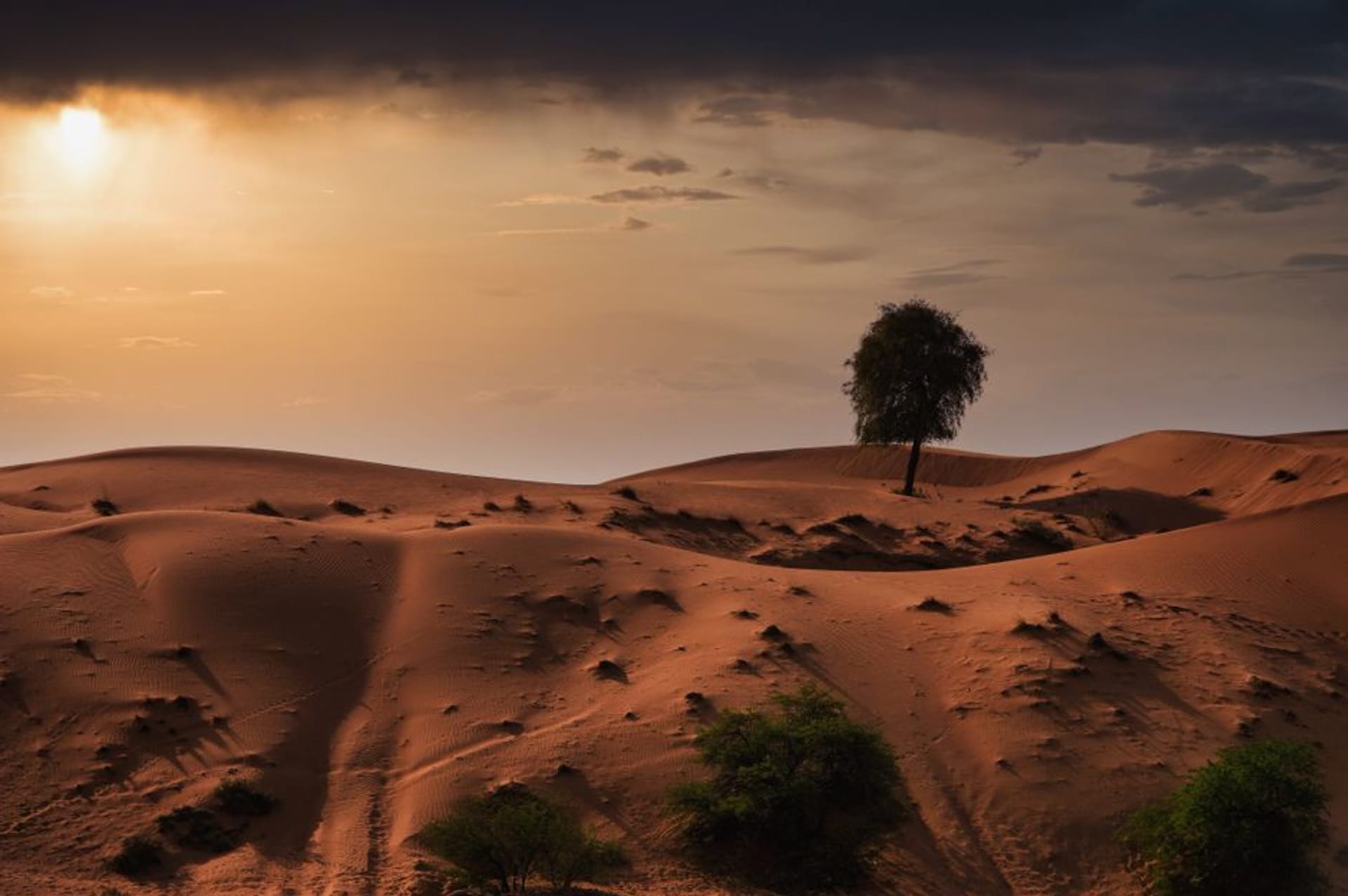 Dunes de sable rouge s'étendant vers des affleurements rocheux dans le désert de Mleiha