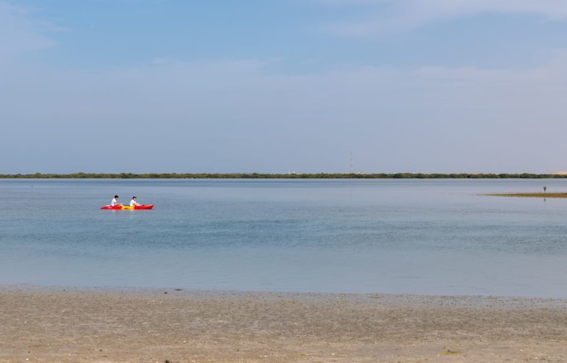 Mangrove lagoon at Umm Al Quwain with calm water and low green mangrove islands