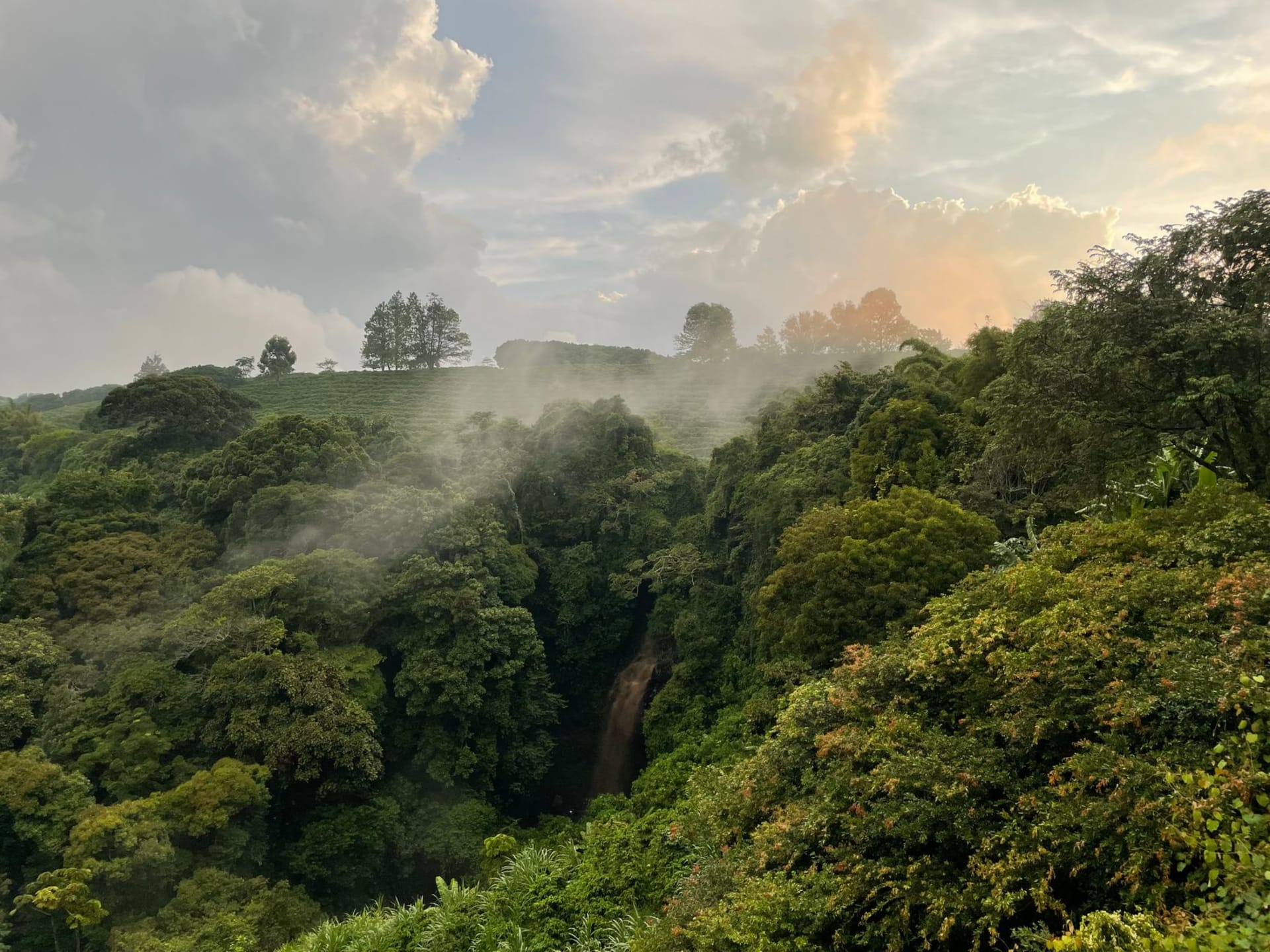 The main Sipi Falls plunging in a single white ribbon over a tall cliff into green vegetation on the lower slopes of Mount Elgon, eastern Uganda.