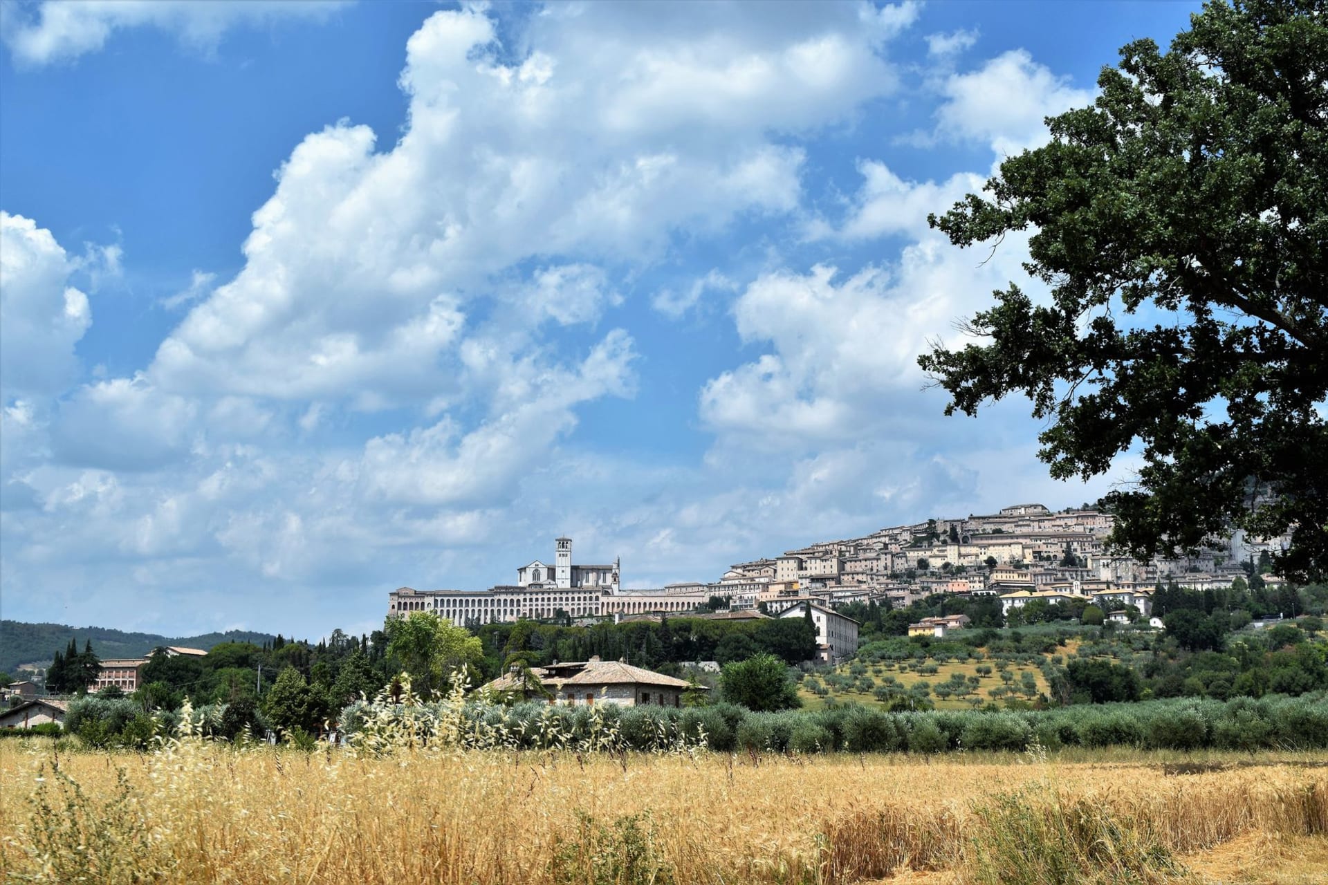 The white-and-rose striped Basilica of San Francesco perched above a green Umbrian valley, morning mist still clinging to the lower slopes