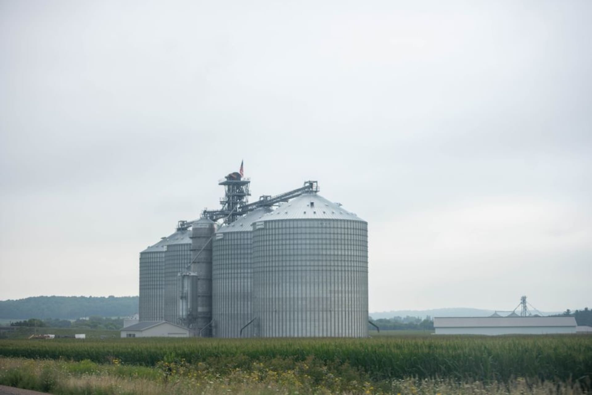 Farmland and grain silos on the outskirts of Bridgeville, Delaware, at harvest time