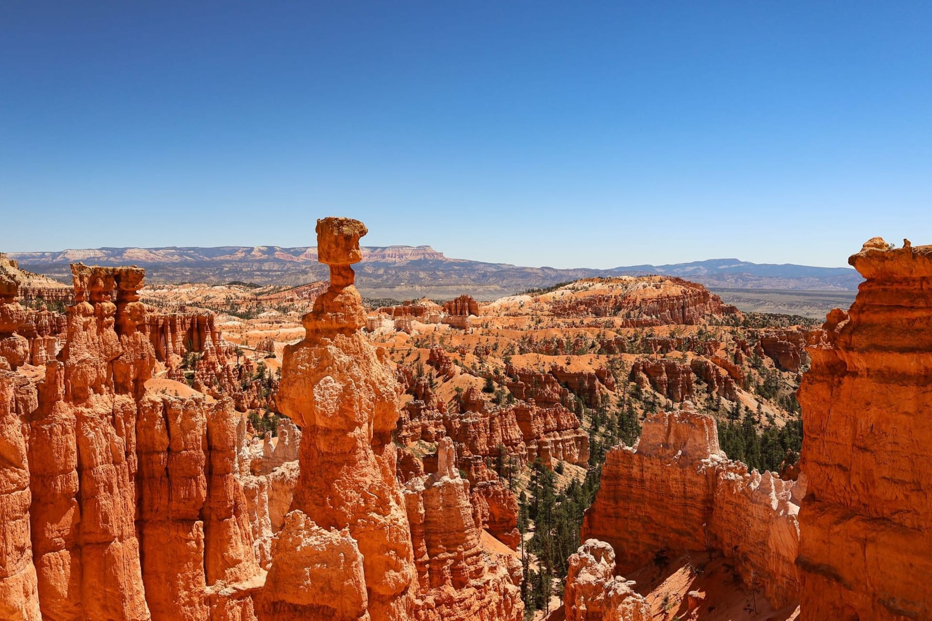 Rows of flame-orange and ivory hoodoos rising from Bryce Canyon's amphitheater at sunrise, with a thin mist threading through the spires and a pale pink sky behind the Paunsaugunt Plateau
