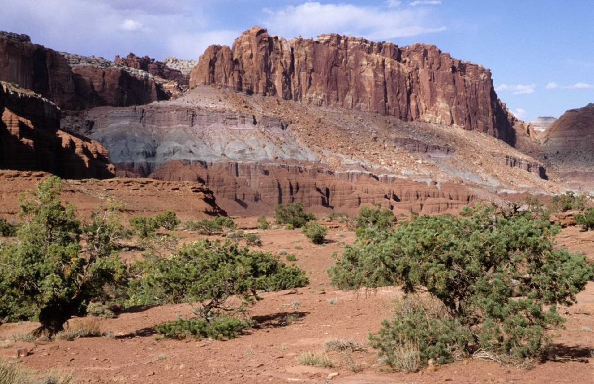 White sandstone domes rising above green orchards in Capitol Reef National Park