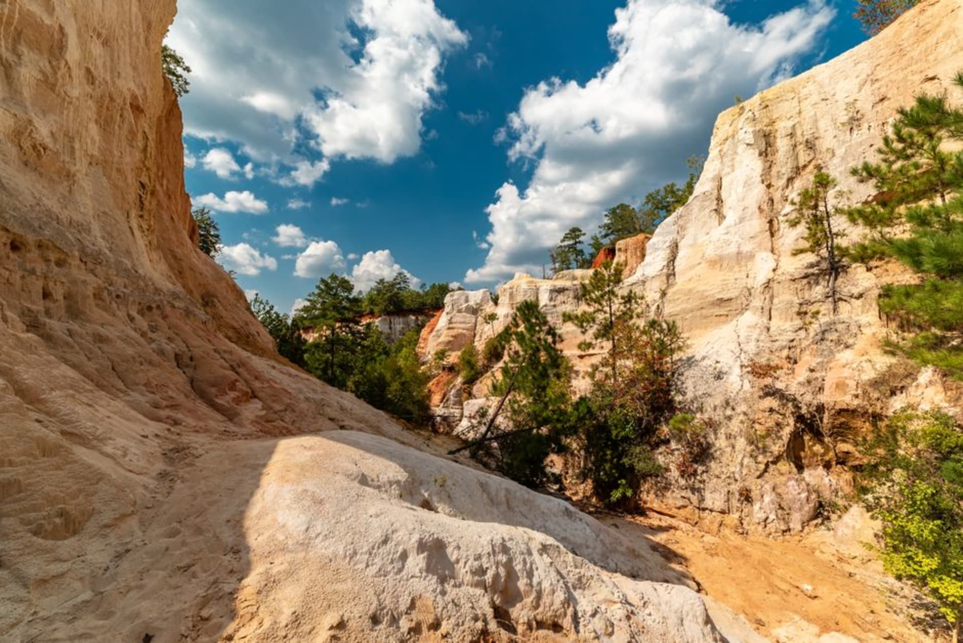 Sandstone bluffs and forest canopy at Giant City State Park near Carbondale, Illinois