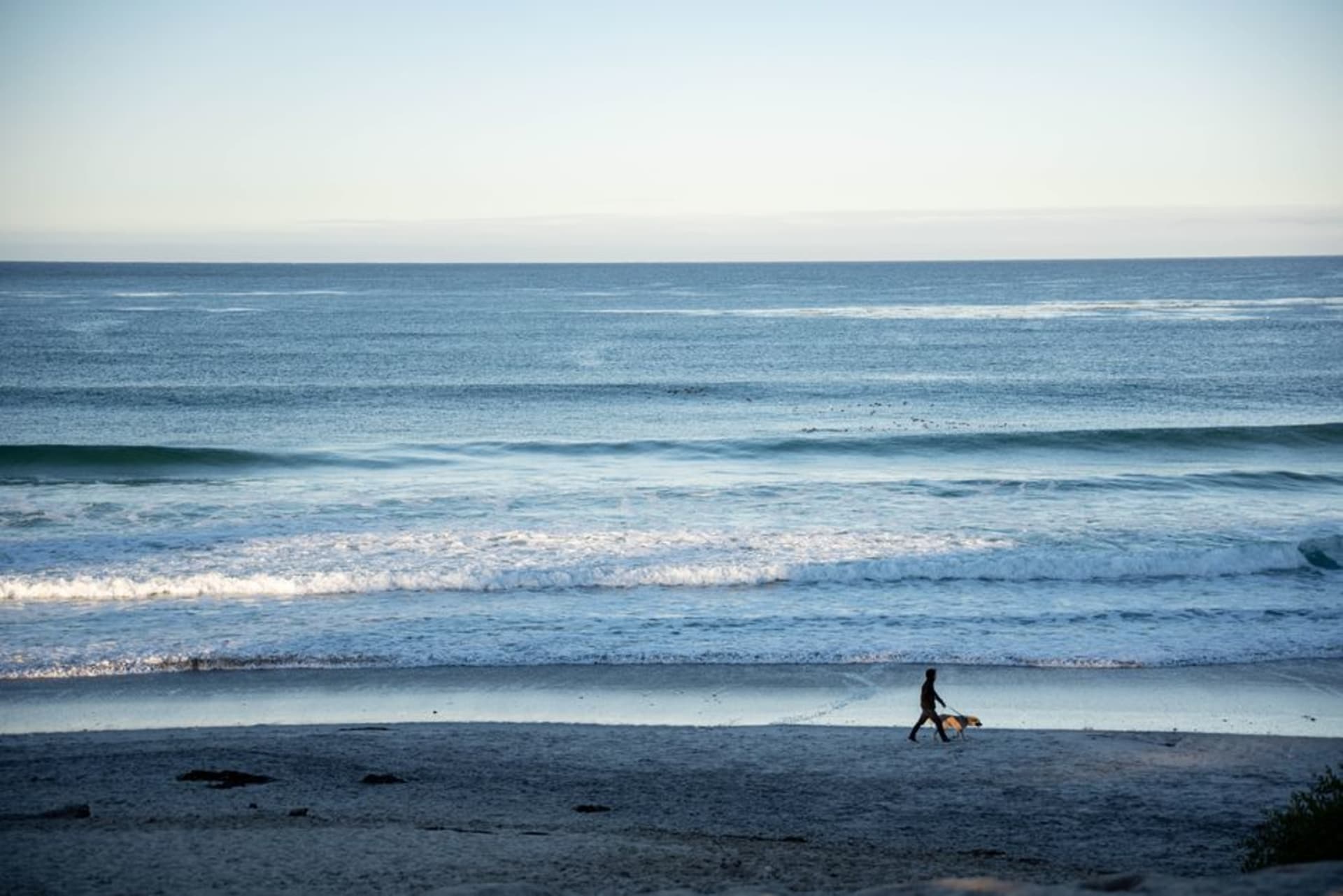 Carmel-by-the-Sea's white sand beach and cypress-lined bluff under soft afternoon light
