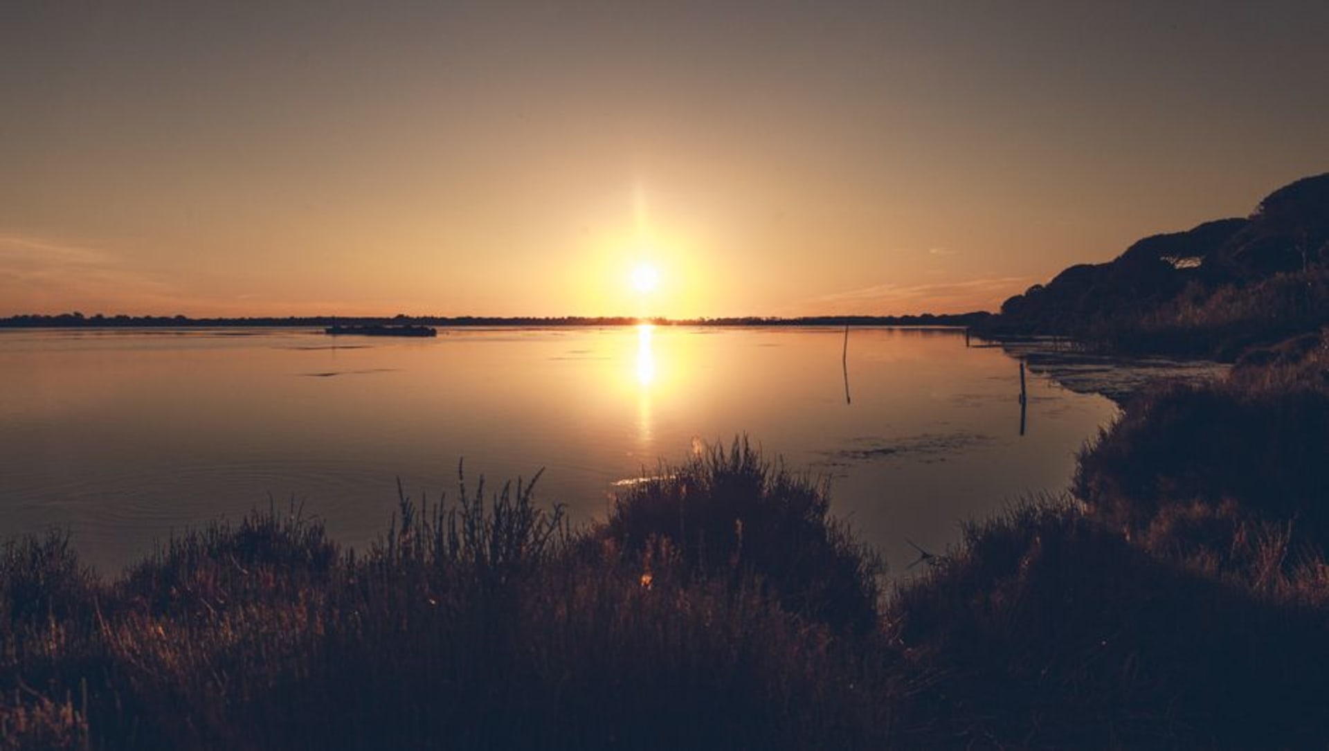 A quiet salt pond and dune grass at sunrise in Charlestown, Rhode Island