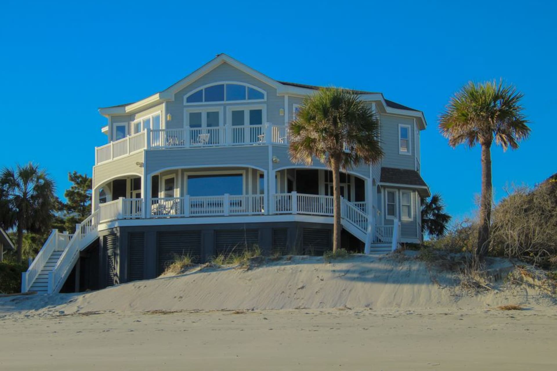 Palmetto trees and dunes along the beach at Edisto Island, South Carolina