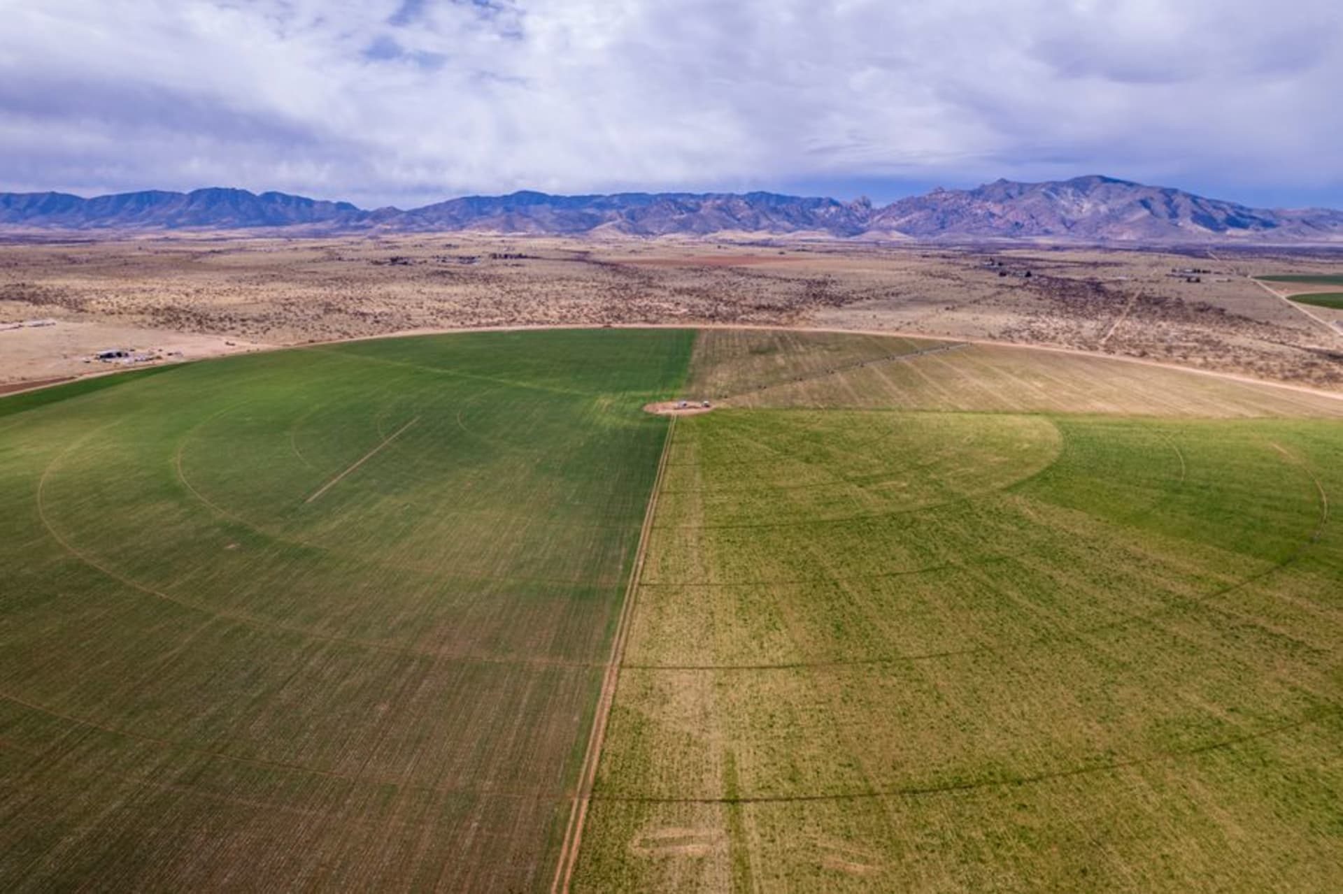 Green irrigated farm fields stretching across the desert Lahontan Valley near Fallon, Nevada