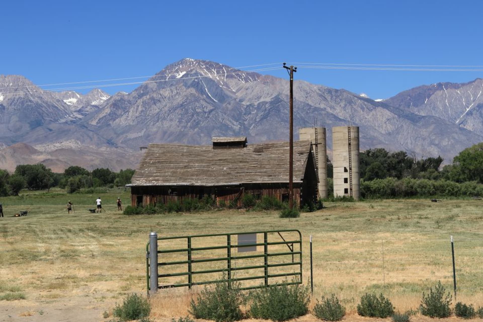 Alfalfa fields in the Carson Valley near Gardnerville, Nevada with the Sierra Nevada mountains behind
