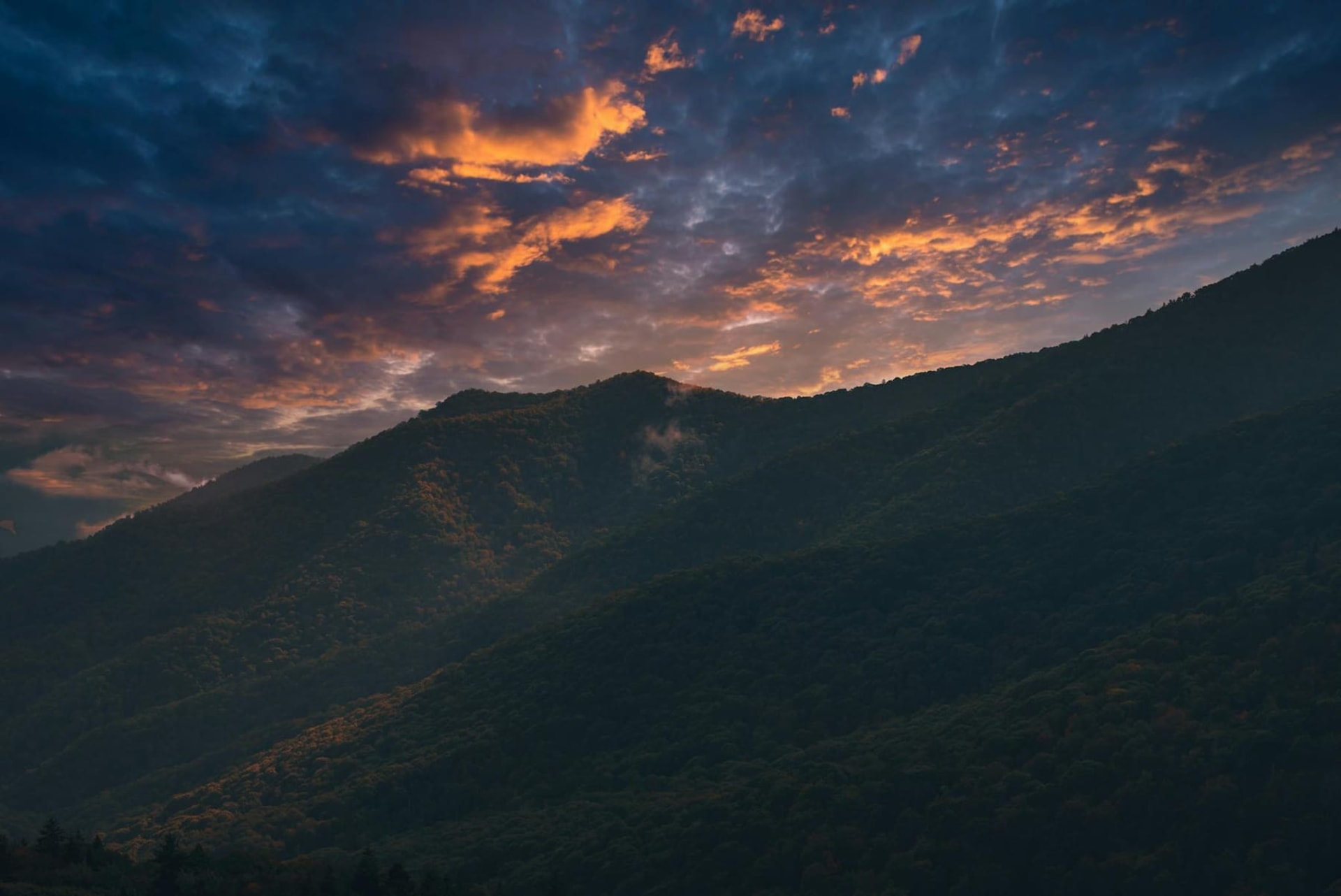 Ancient Appalachian ridgelines receding into layers of blue-grey mist at dawn, dense hardwood forest clinging to every slope under a pale Tennessee sky.