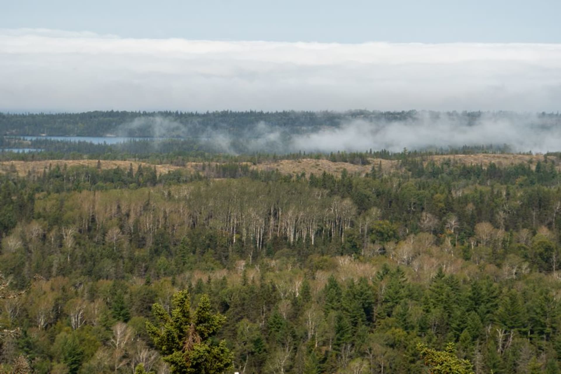 Forested ridges of Isle Royale meeting the cold blue water of Lake Superior
