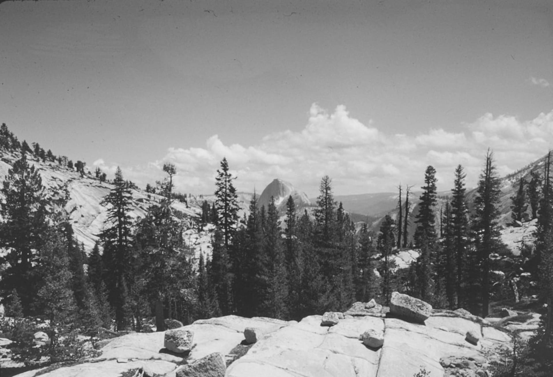 Sheer granite walls of Kings Canyon plunging to a river-braided green valley floor