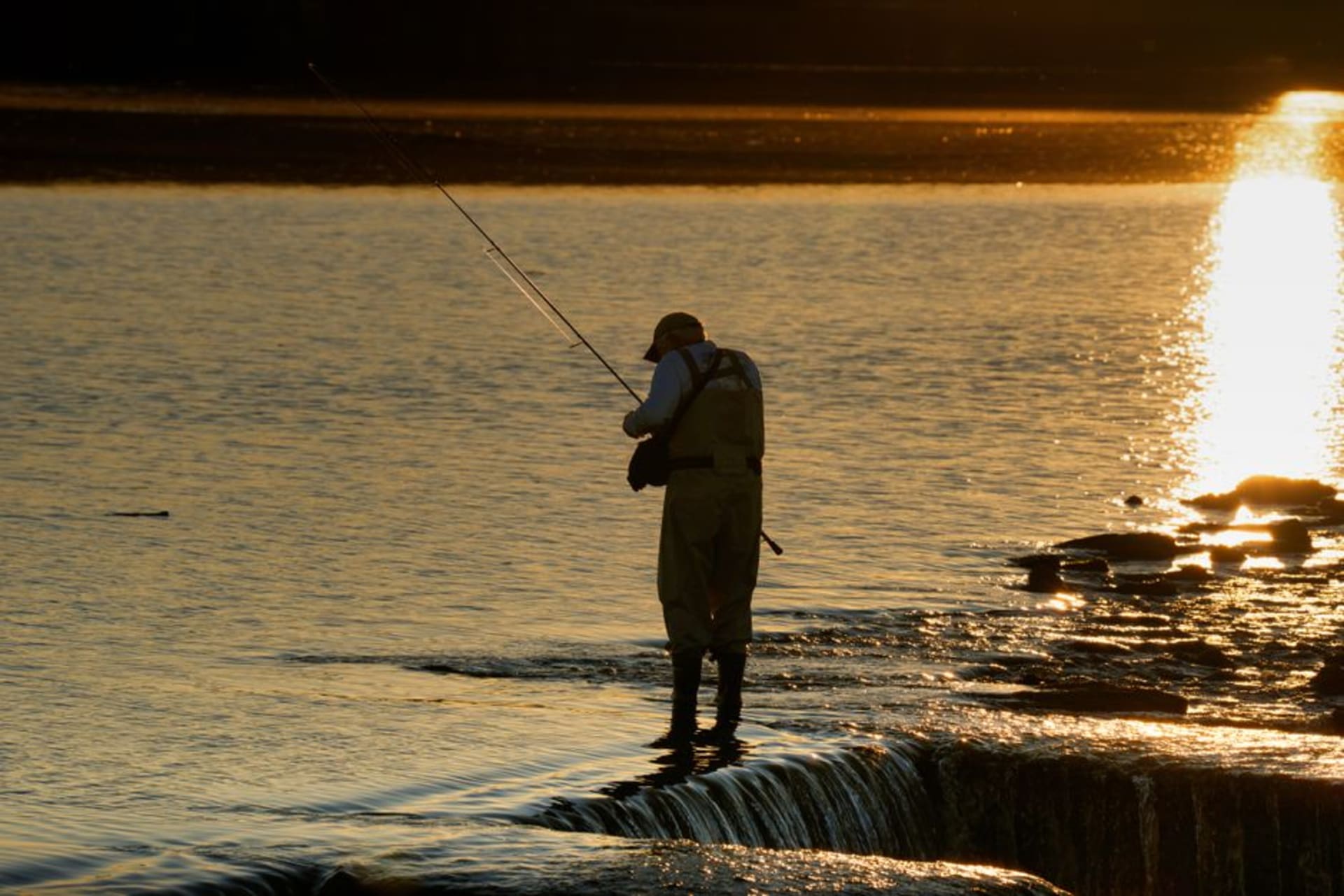 A fly fisherman wading the cold, clear White River near Mountain Home, Arkansas at dawn