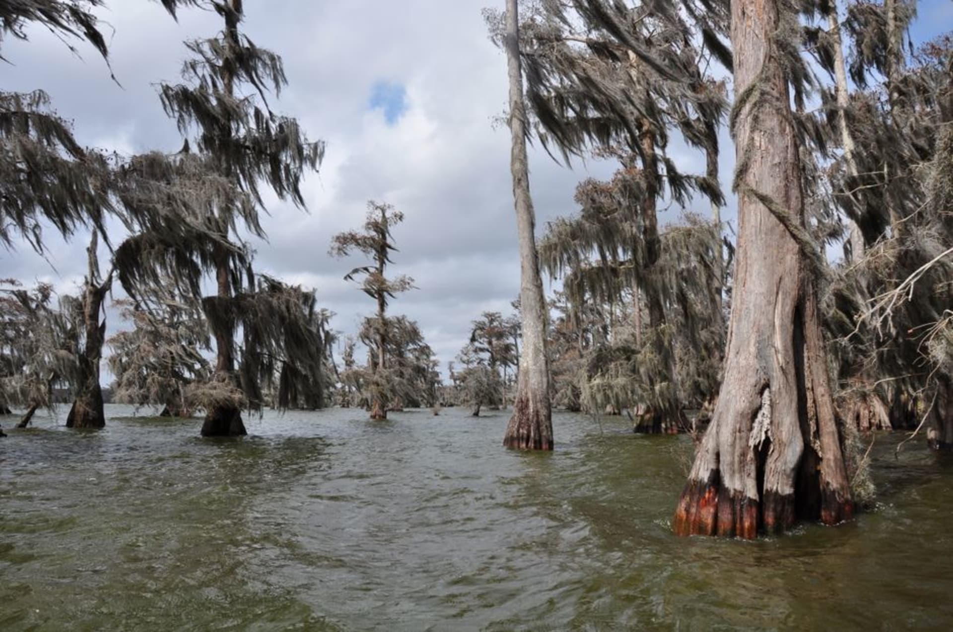 Bayou Bonfouca lined with cypress trees near downtown Slidell, Louisiana