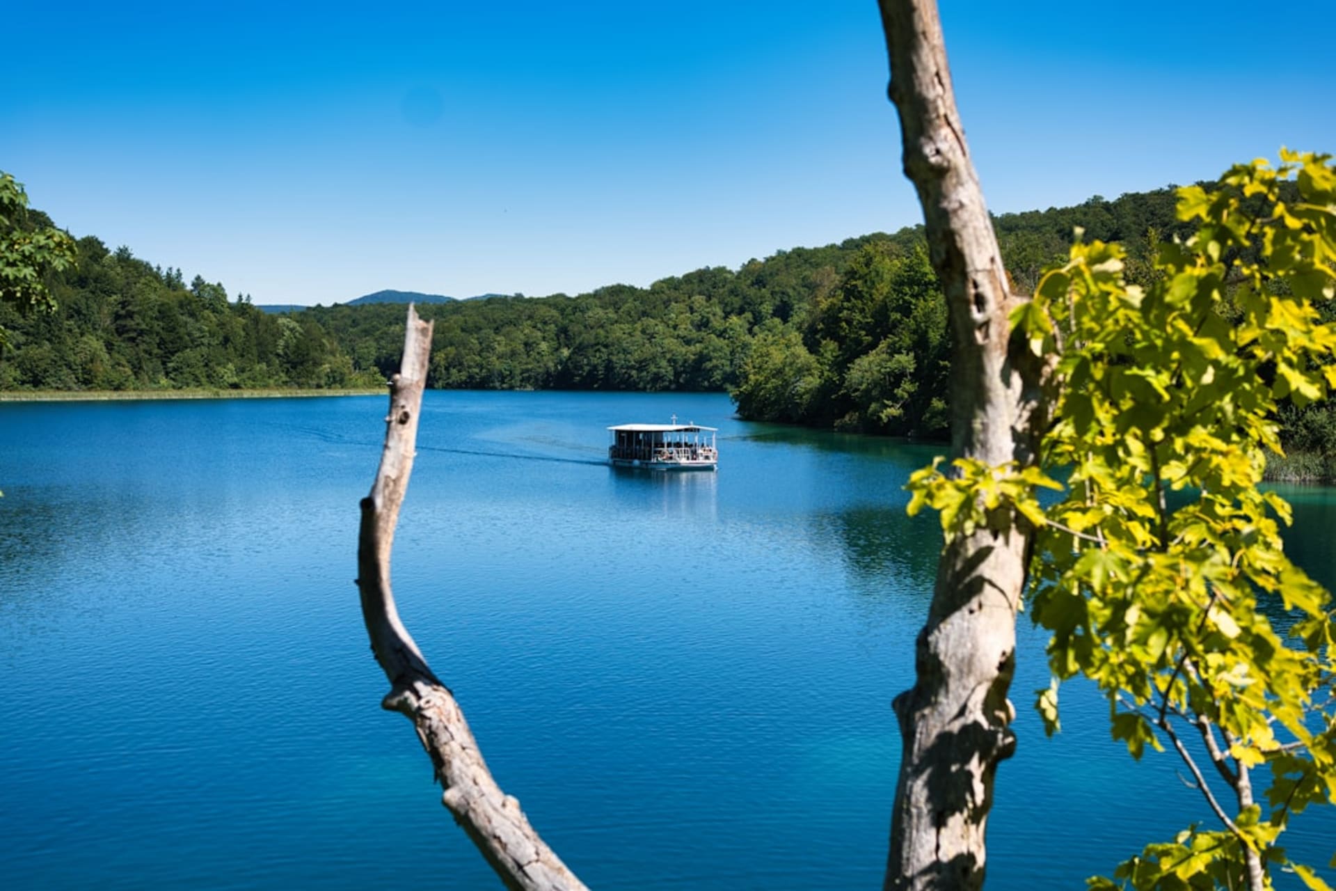 Houseboats moored on the clear blue water of Lake Cumberland near Somerset, Kentucky
