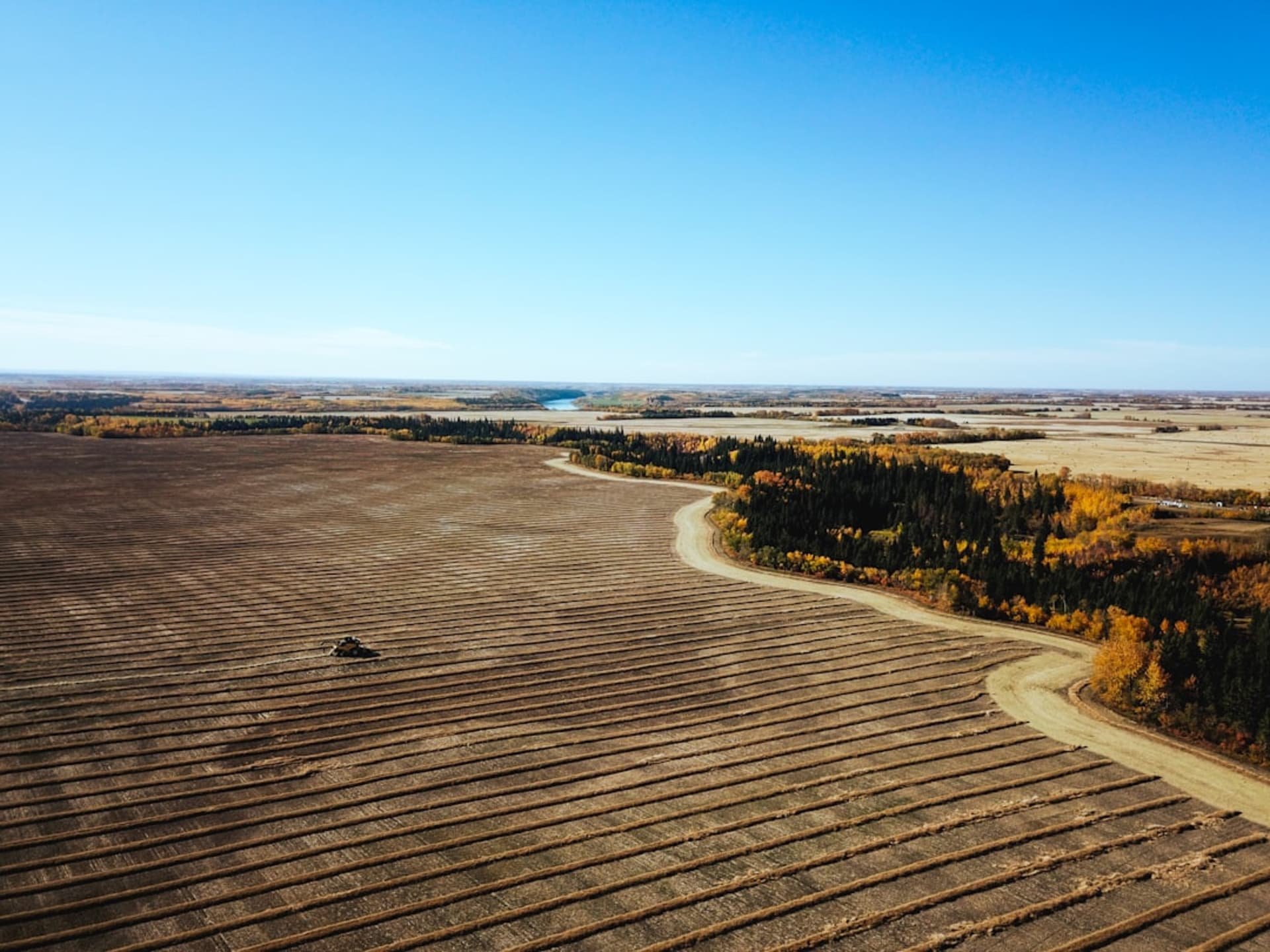 Rolling wheat fields and vineyards around Walla Walla, Washington in golden summer light