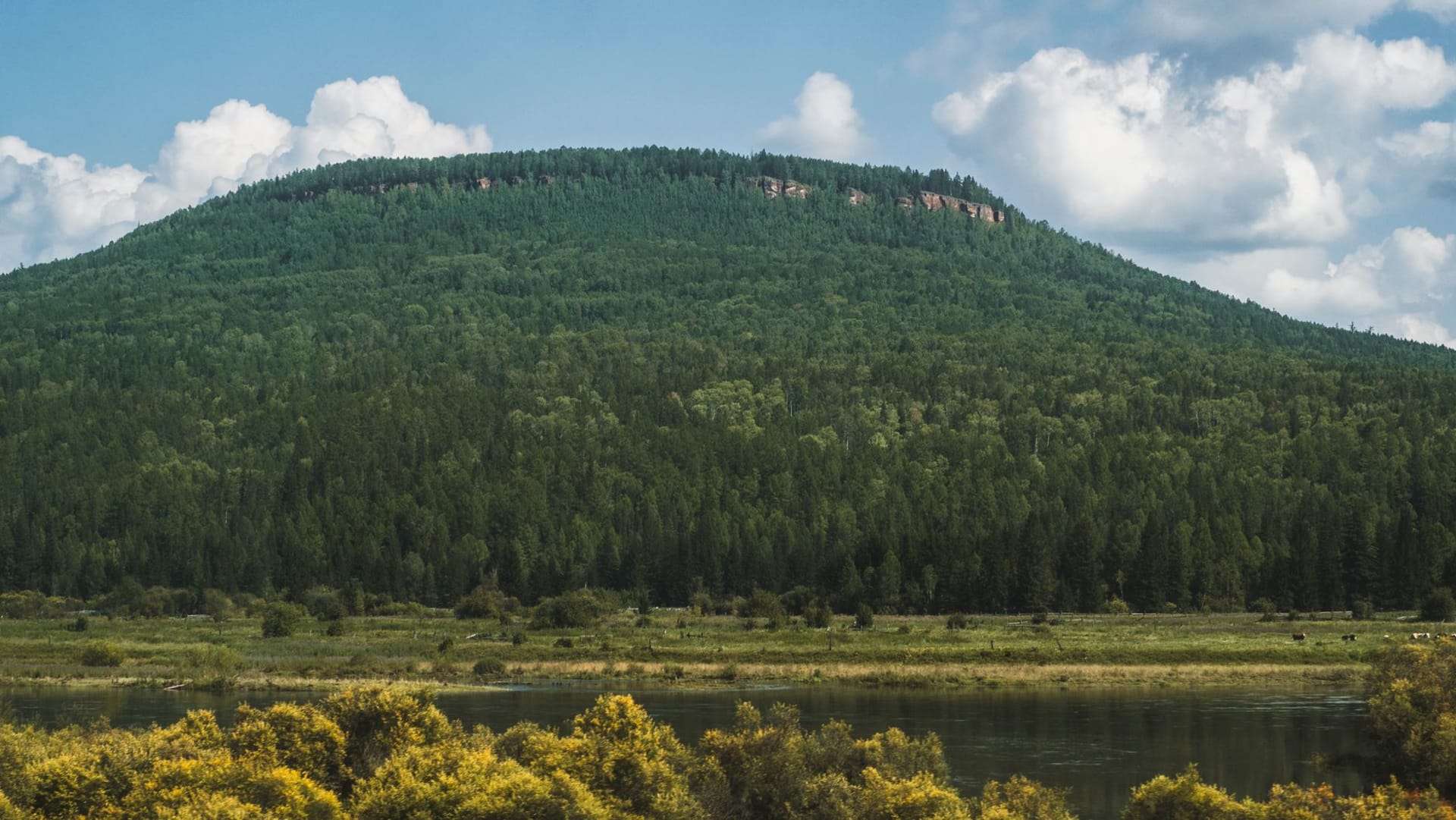 Limestone cliffs rising above the green water of the Serga River in Olenyi Ruchyi Nature Park, pine forest crowning the rock