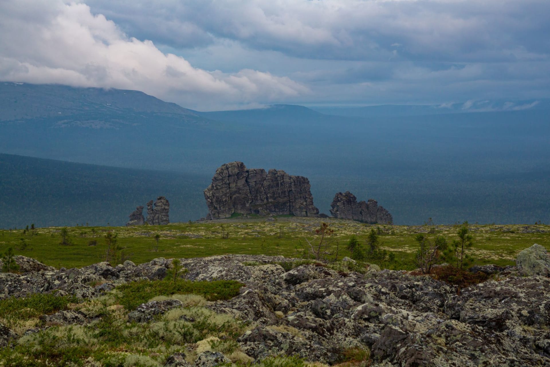 The Bolshaya Kamennaya Reka stone river stretching through spruce forest in morning mist, boulders grey and lichen-covered as far as the eye can see