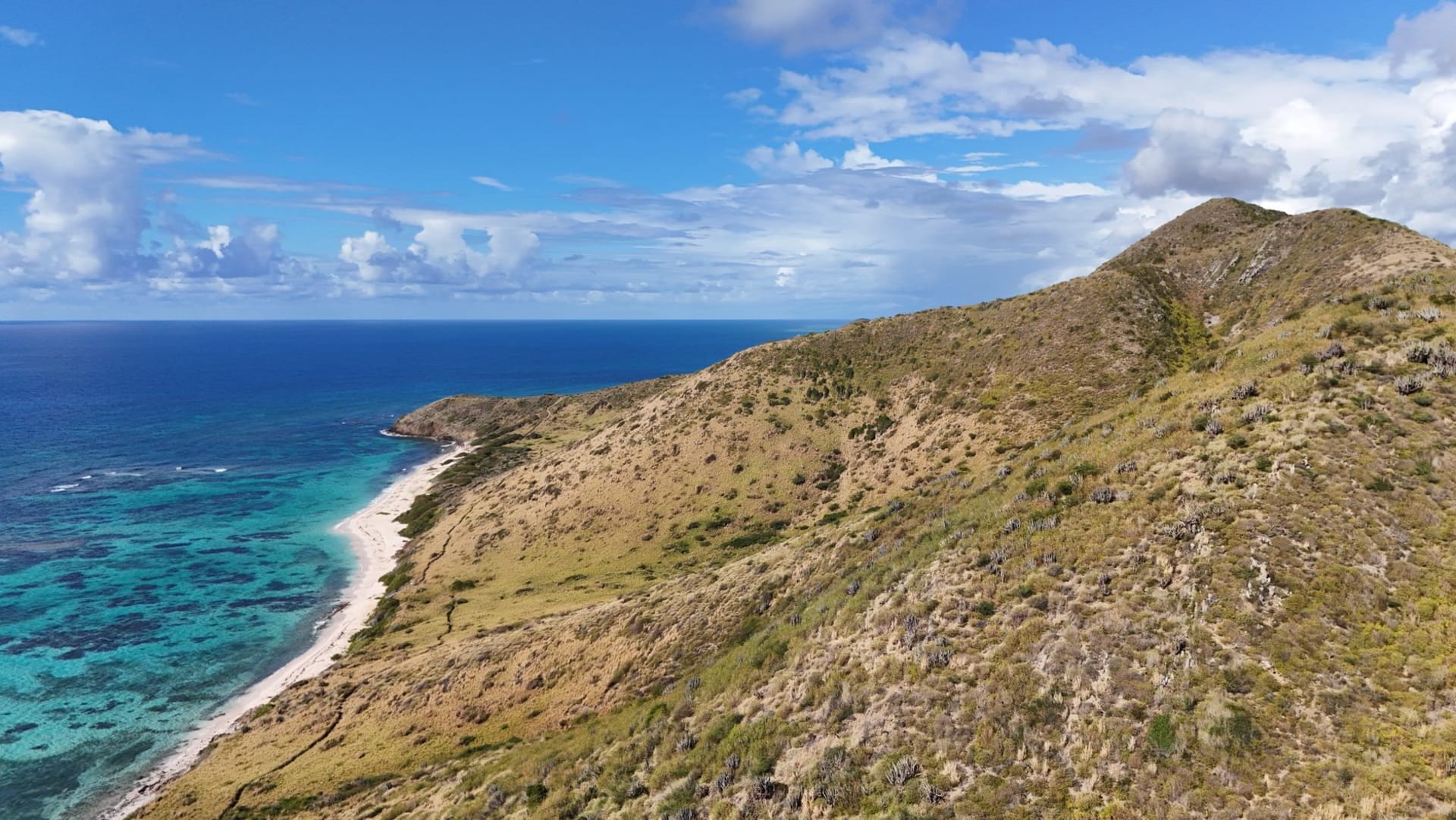Honeymoon Beach on Water Island, USVI — a calm cove with pale sand and turquoise water, no crowds