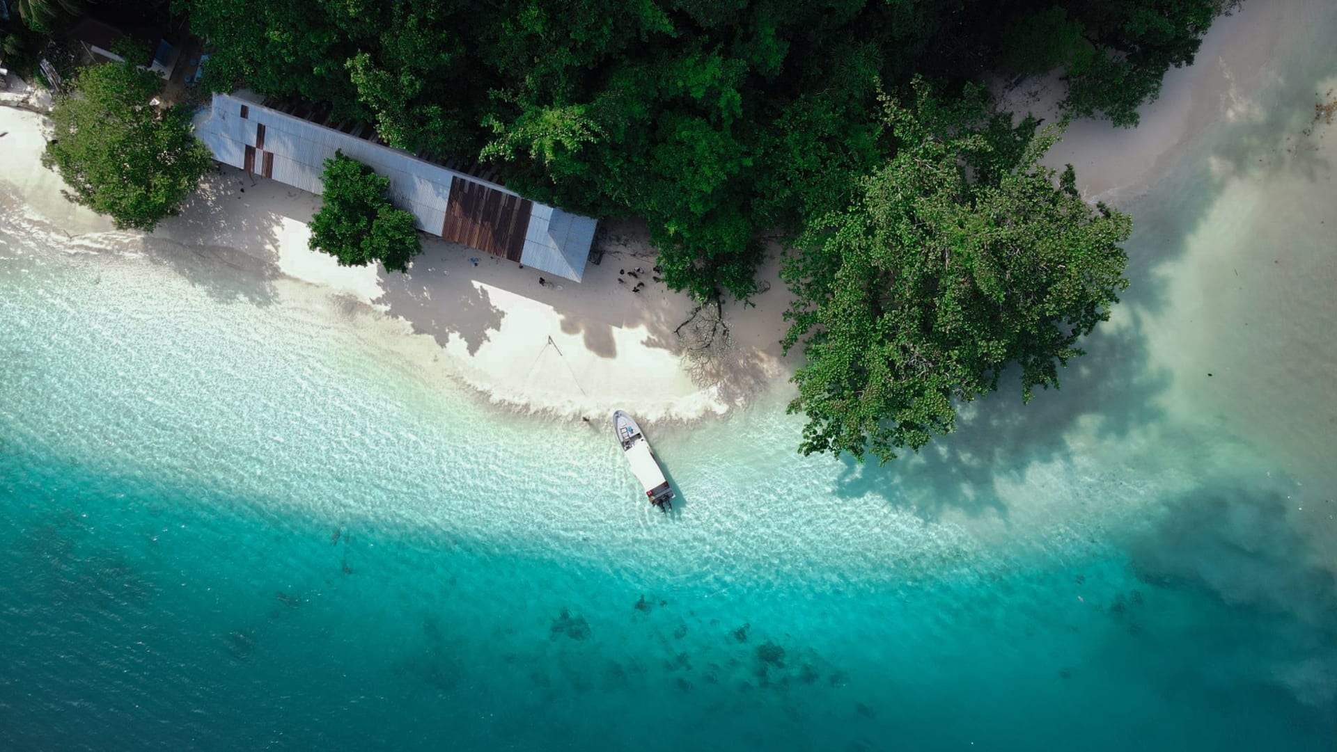 The blue hole at Eton Beach on Efate with electric-blue freshwater pool surrounded by jungle and a rope swing hanging from a banyan tree