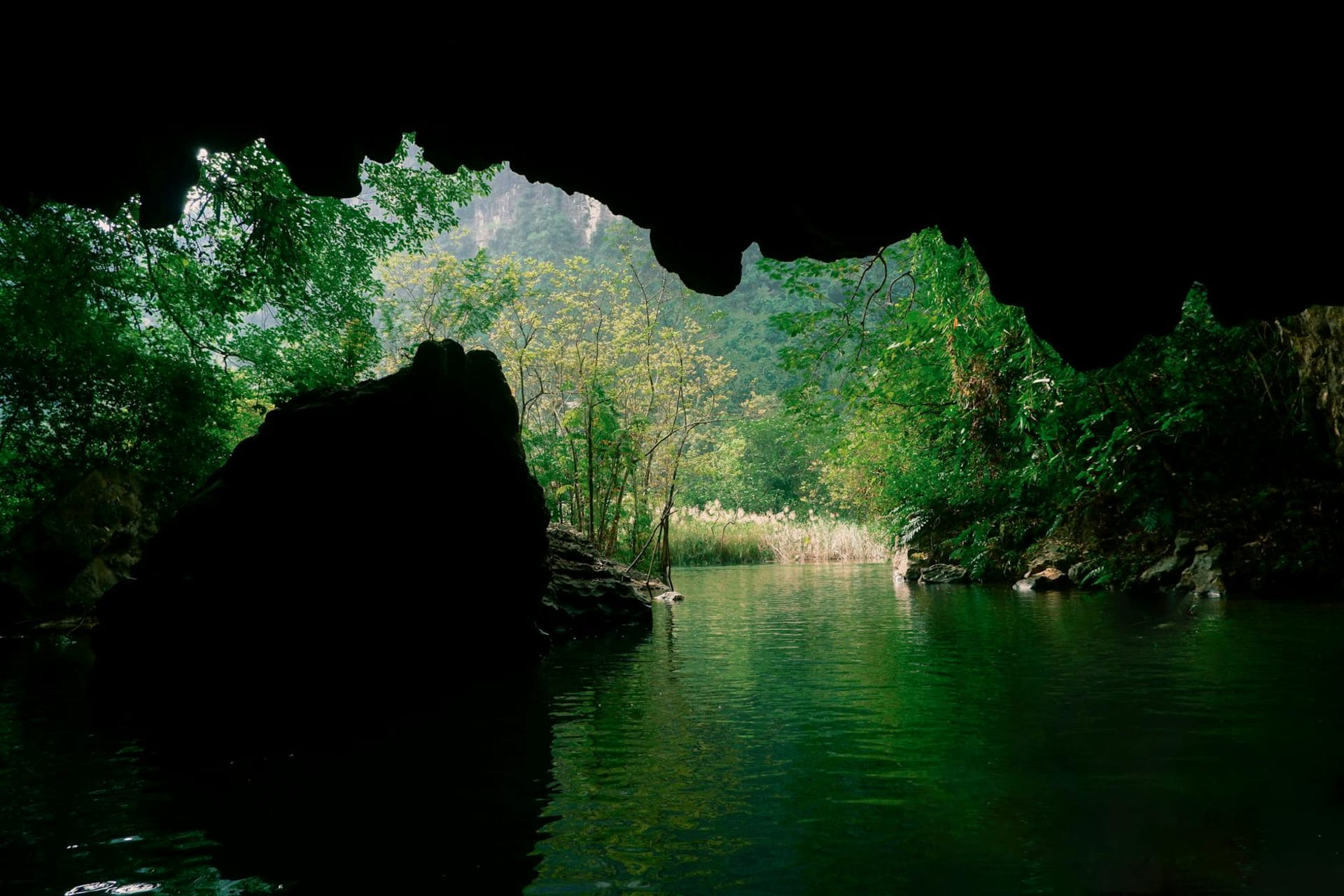 A wooden boat gliding along the Son River into Phong Nha cave, the dark limestone entrance framed by lush jungle karst rising on both sides
