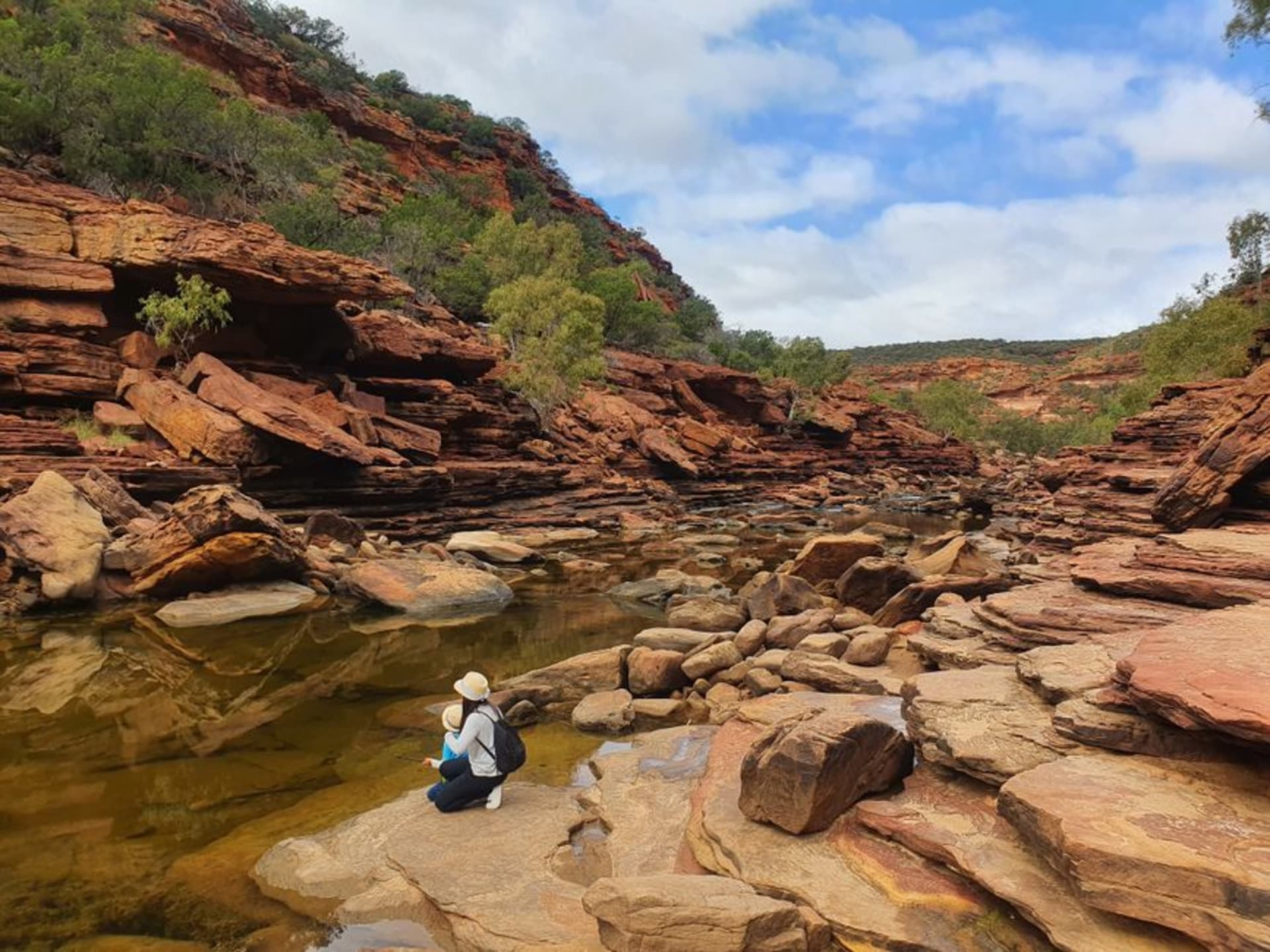 The Z-shaped bend of the Murchison River winding through red and white banded sandstone gorge walls at Kalbarri National Park