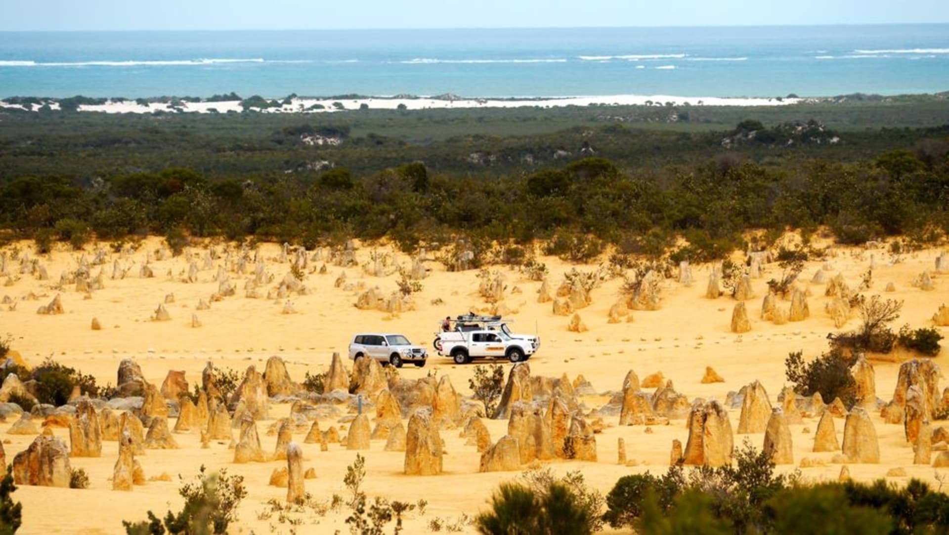Golden limestone pinnacles rising from yellow desert sand at sunrise in Nambung National Park, Western Australia