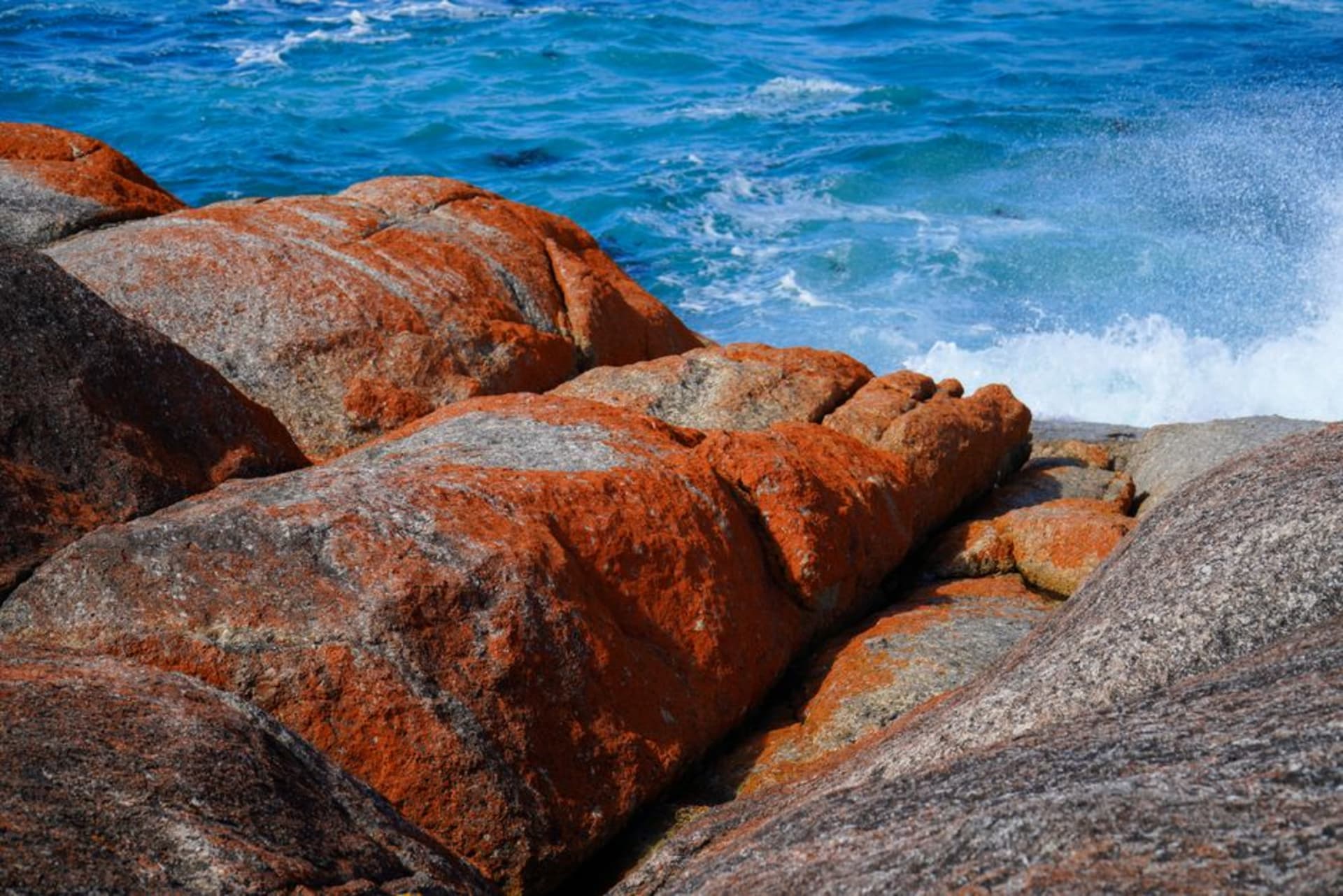 Wave Rock's curved granite formation with distinct vertical streaks of color resembling a giant breaking ocean wave