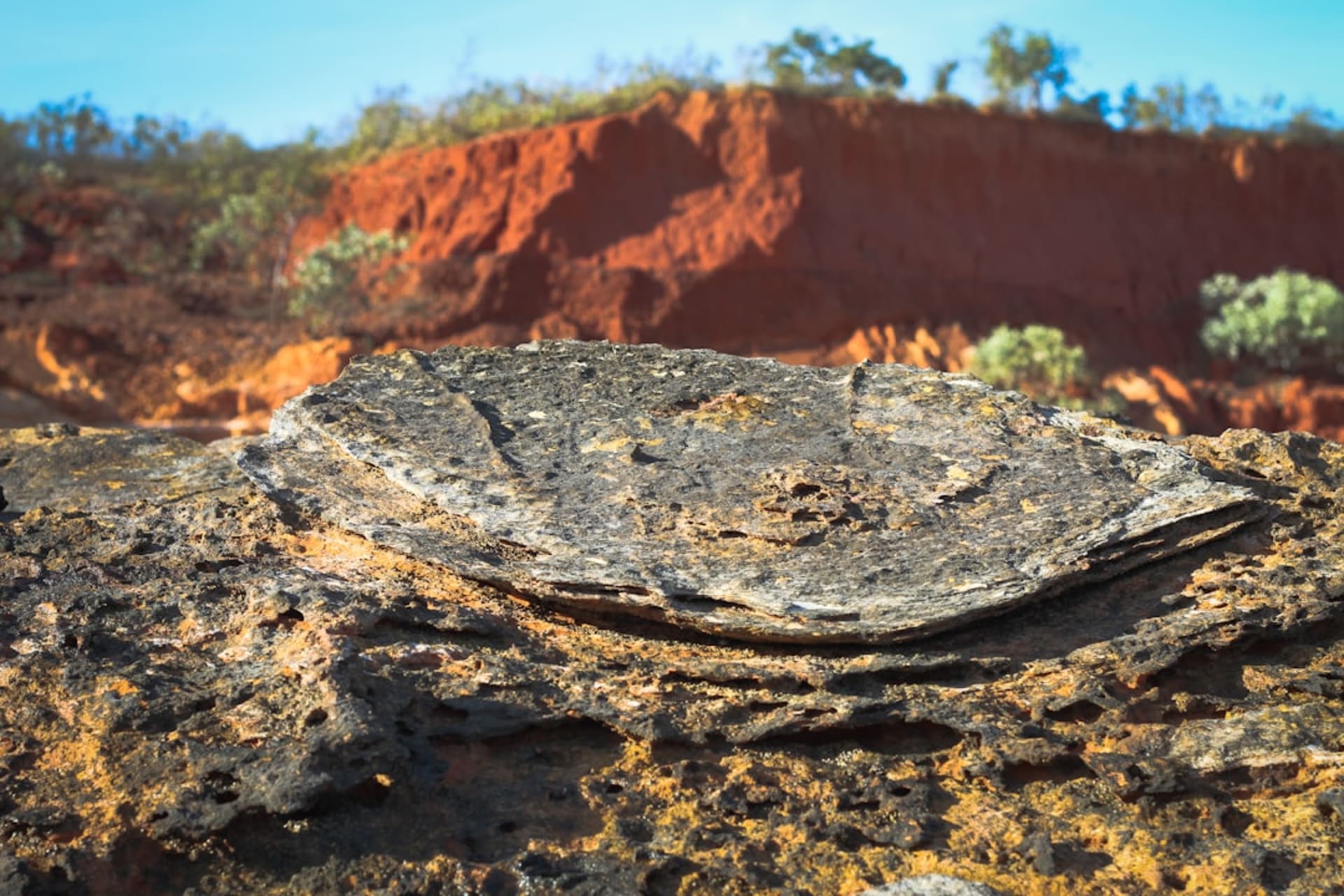 Purnululu's beehive-striped orange and black sandstone domes under a vast blue sky, the Bungle Bungles spread to the horizon