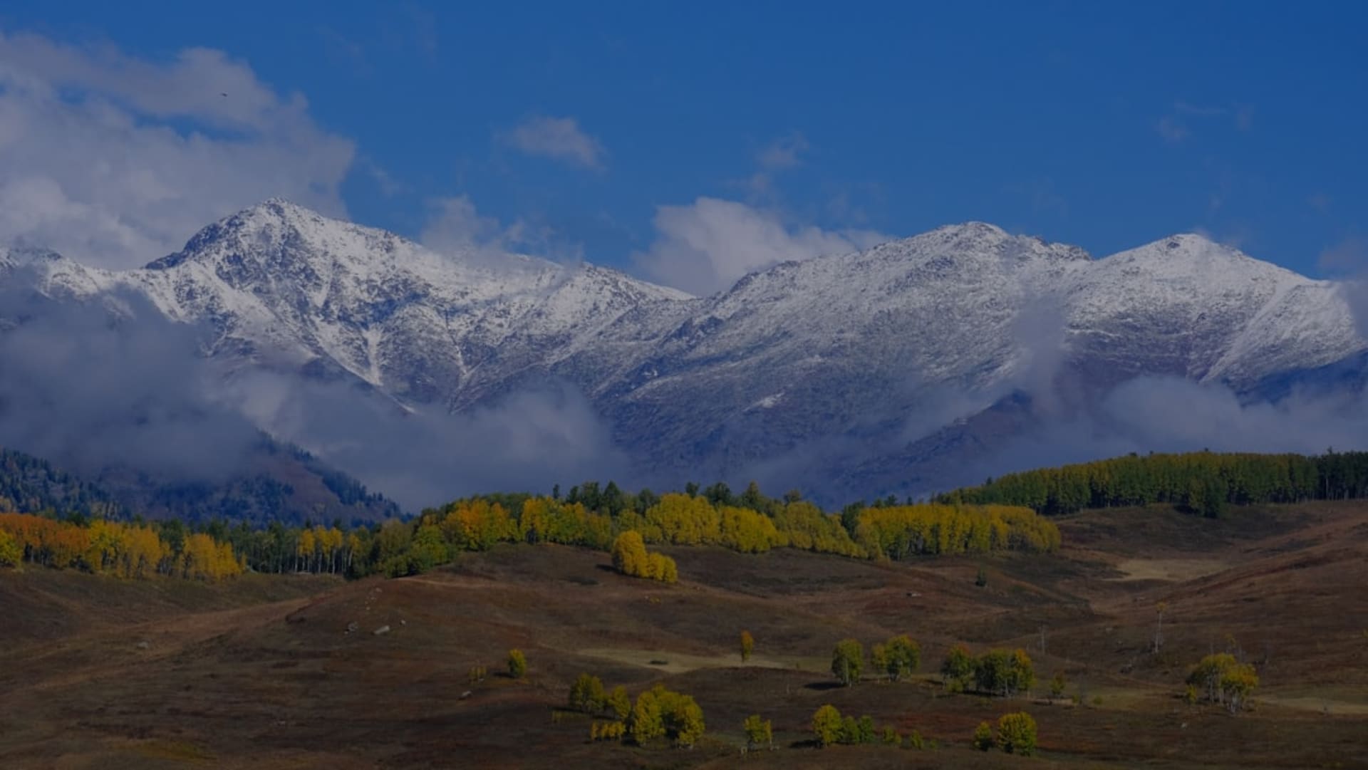 Rolling green hills above the Ili River covered in wild red tulips in spring bloom, with snow-capped Tianshan peaks visible through morning clouds behind