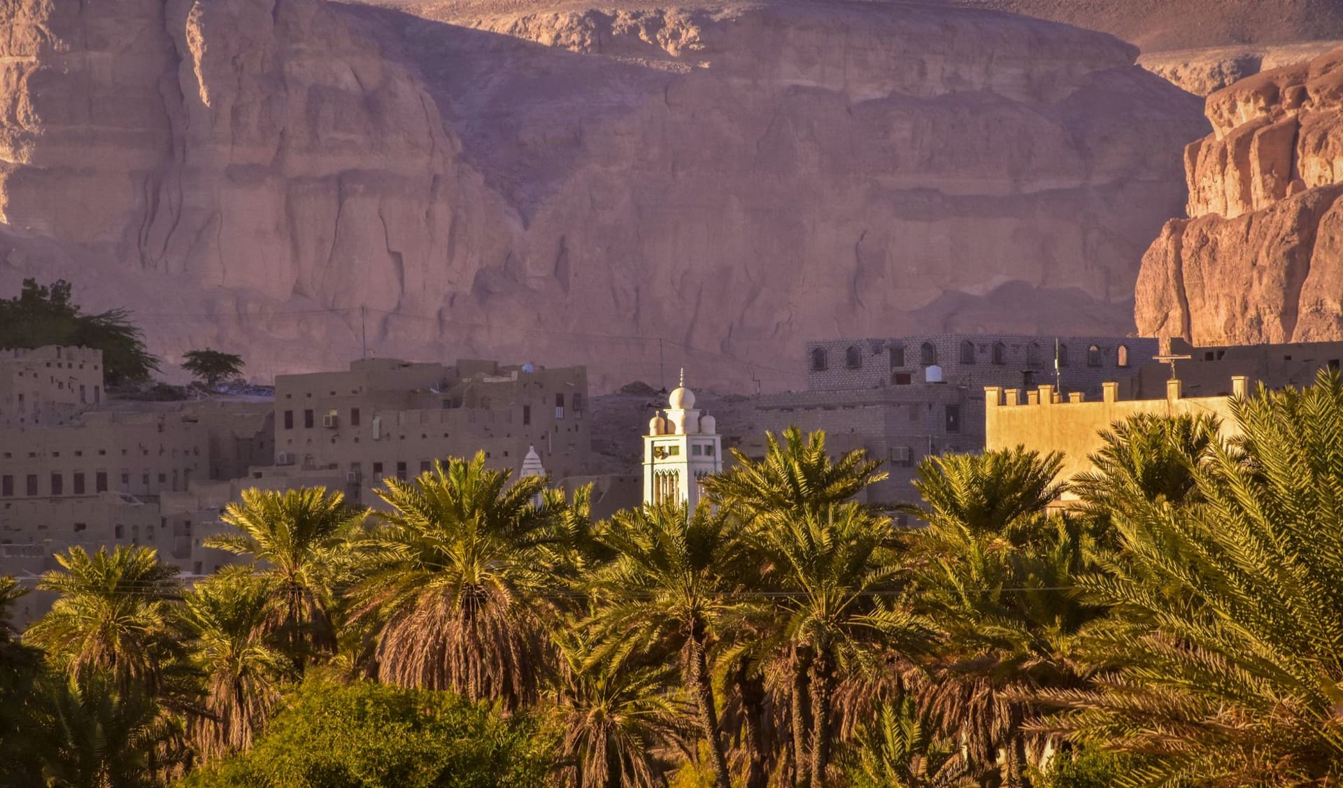 Les maisons-tours en briques de terre de Shibam s'élevant à la verticale depuis la vallée désertique plate, dorées par la lumière du petit matin