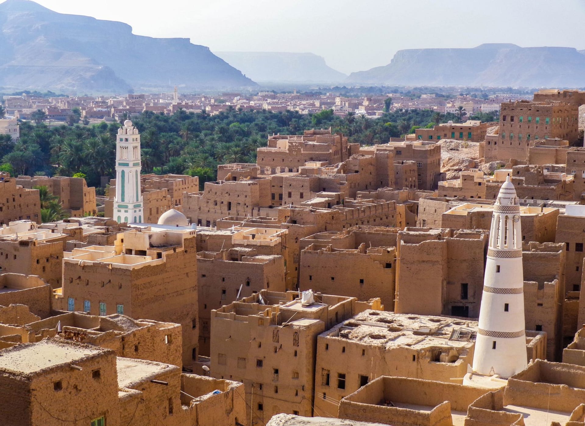 El fondo del gran cañón de Wadi Hadhramaut a la hora dorada, con palmeras datileras y pueblos de adobe bajo acantilados calcáreos pálidos