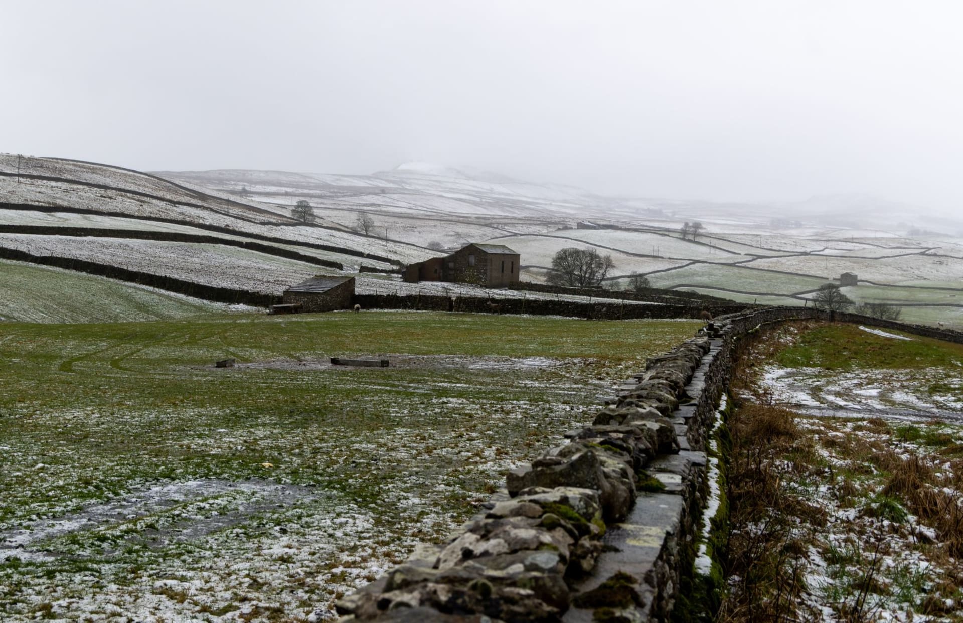 Snow-dusted stone walls crossing the open fields of the Yorkshire Dales under a pale winter sky