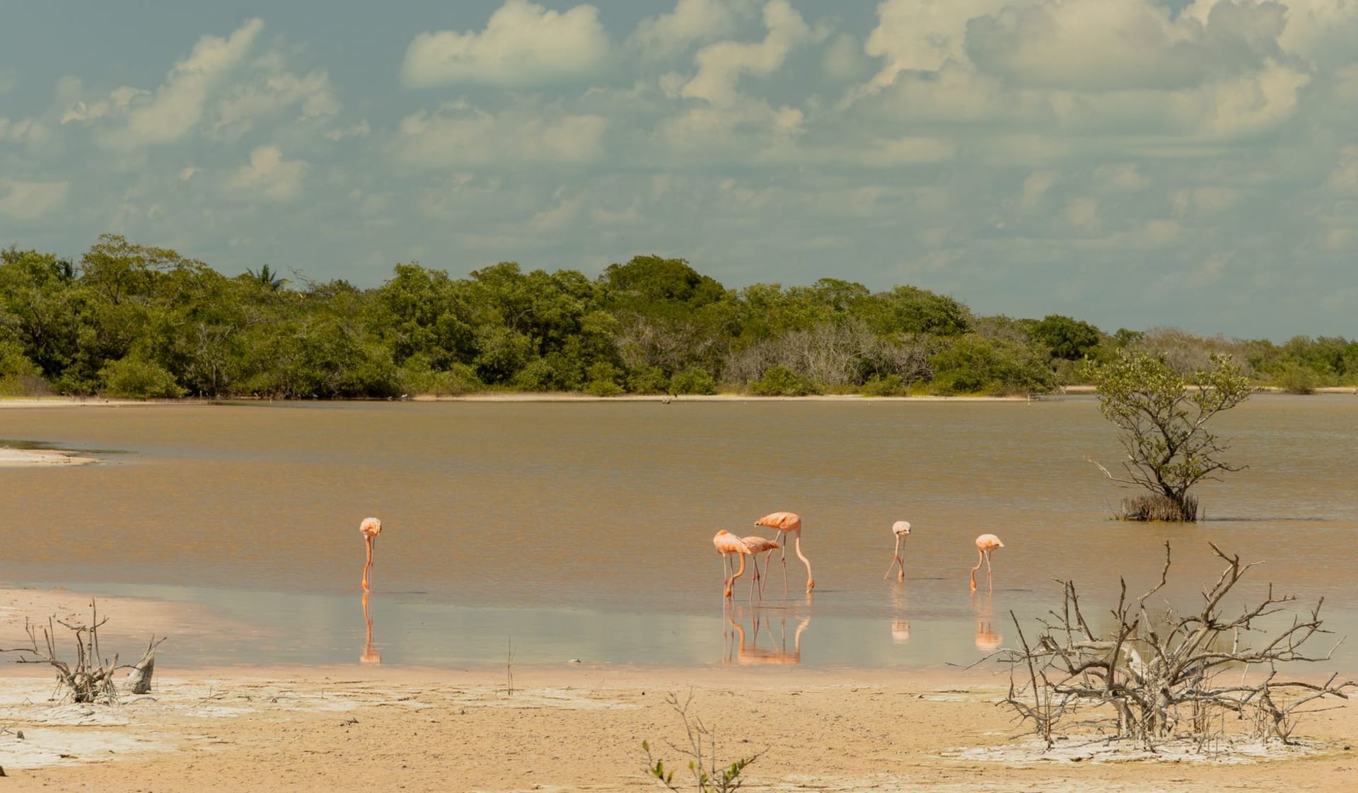 Une vue aérienne de la réserve de biosphère de Sian Ka'an montrant la lagune turquoise rejoignant les chenaux sombres de mangrove et la ligne du récif caribéen au-delà, sous des nuages d'après-midi