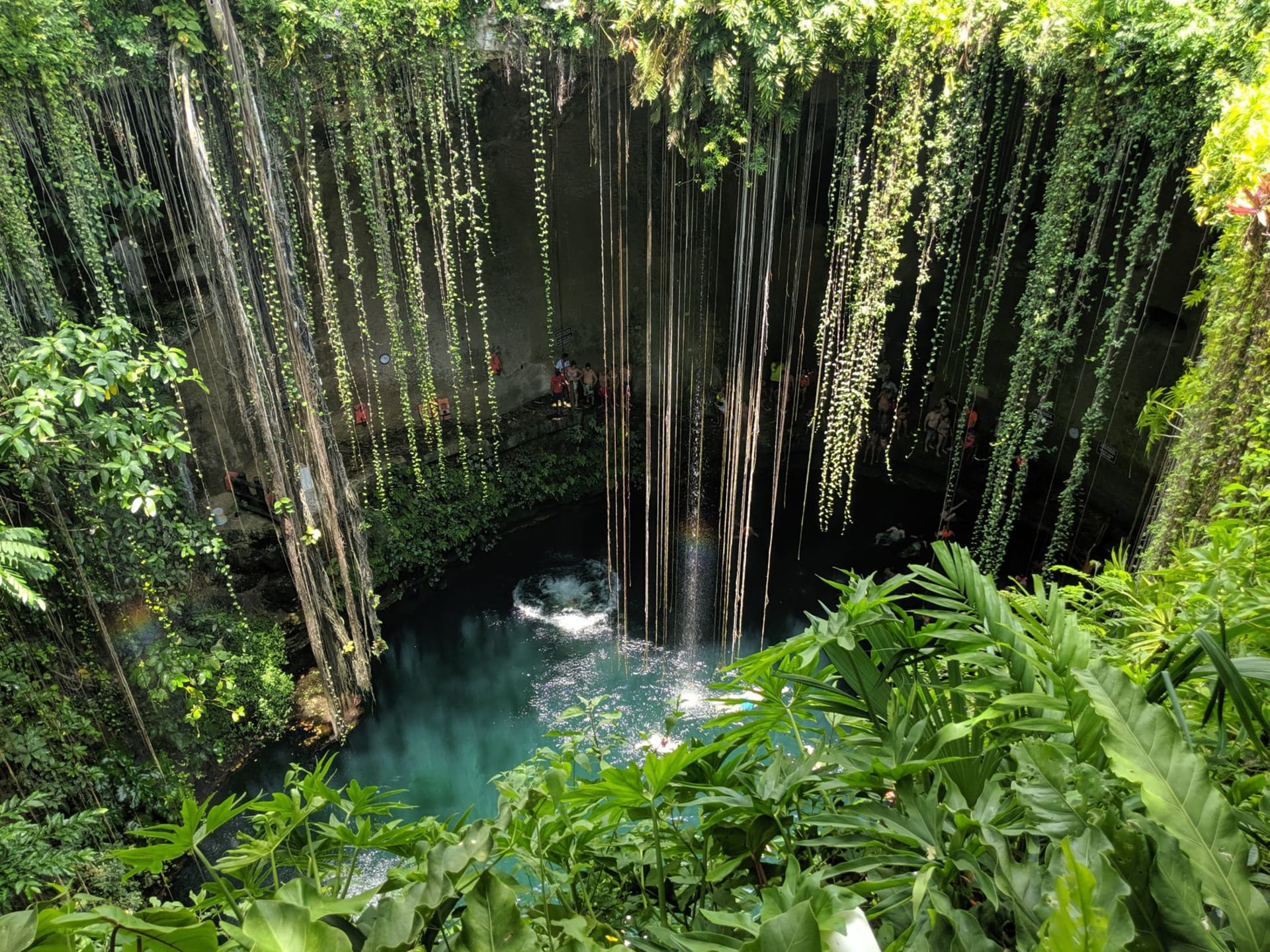 Cenote Ik Kil in Yucatán, a circular natural pool surrounded by hanging vines and lush tropical greenery