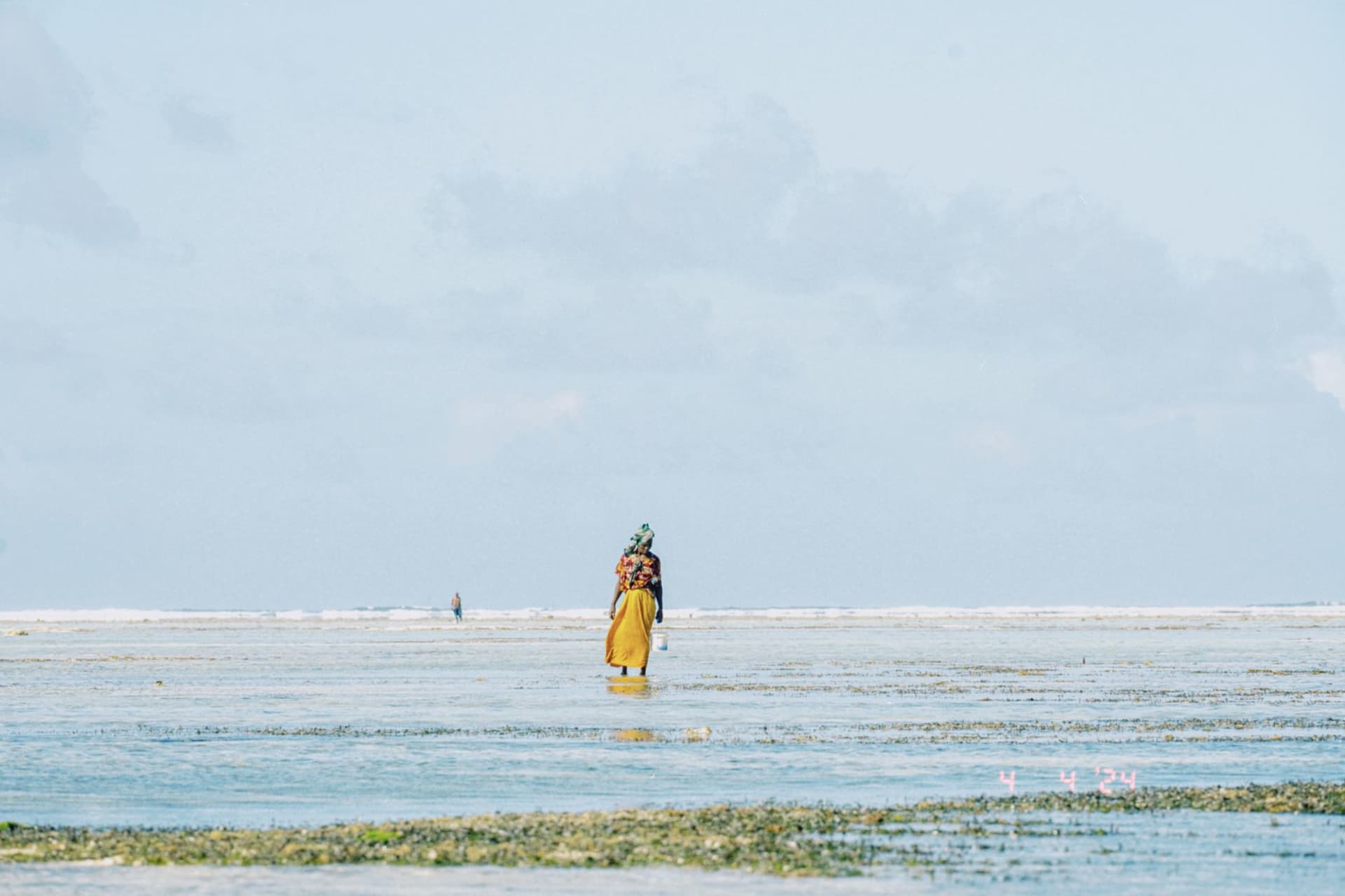 A woman in a bright kanga tending seaweed lines at low tide in Jambiani, with a pale blue ocean behind her