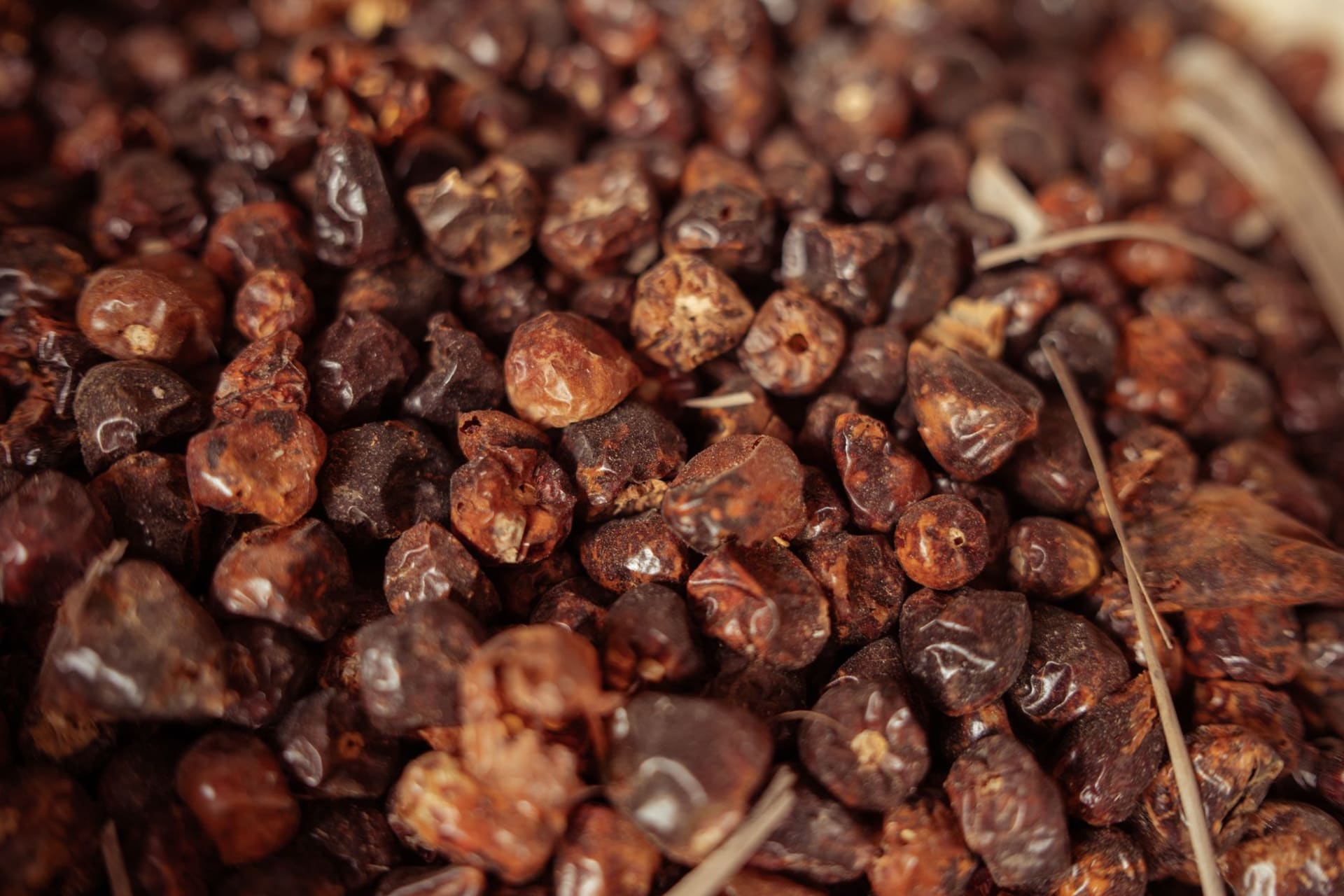 Bunches of fresh cloves drying on a woven mat in the dappled shade of a Zanzibar spice farm