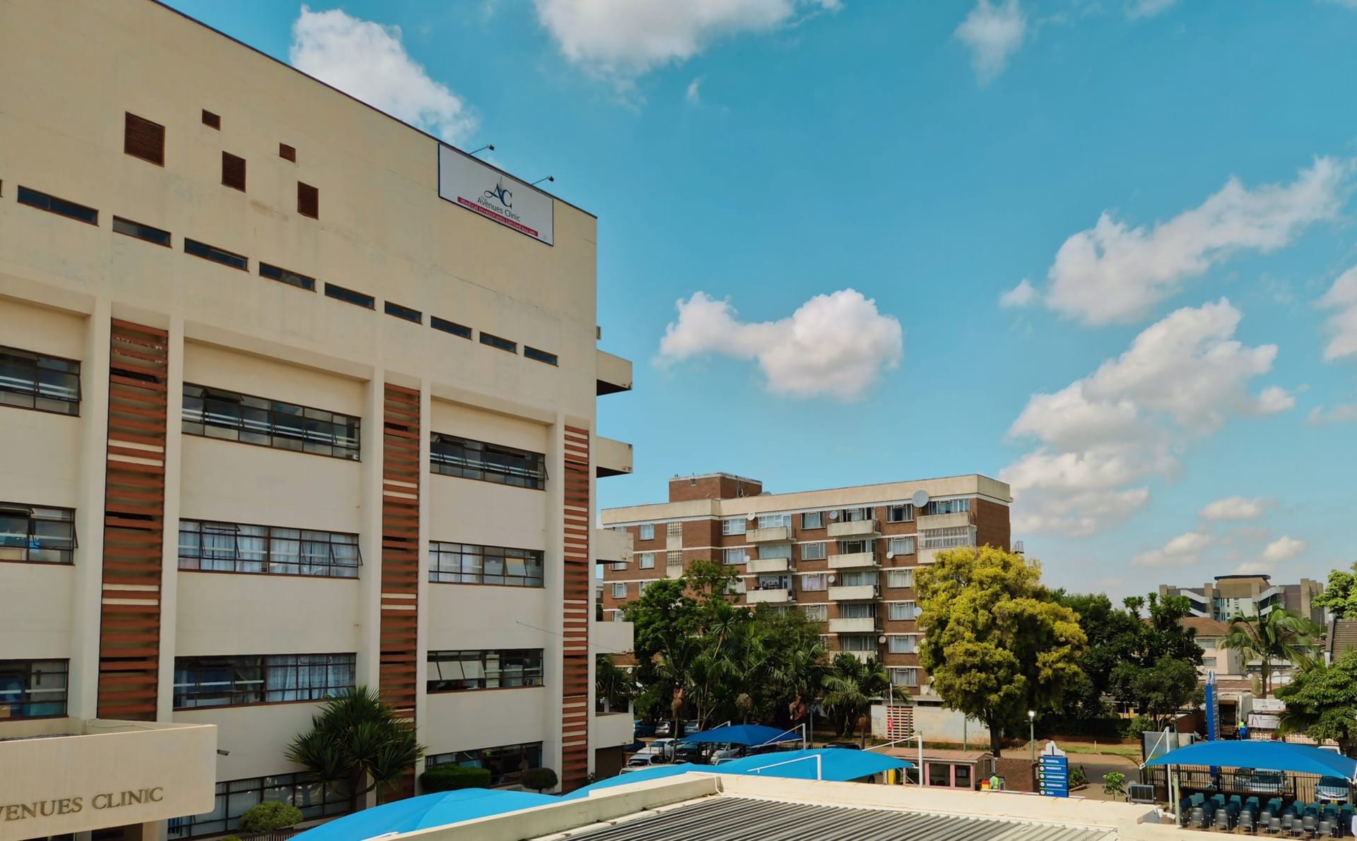 A Harare avenue lined with jacaranda trees in full purple bloom, modernist buildings rising behind under a bright highveld sky