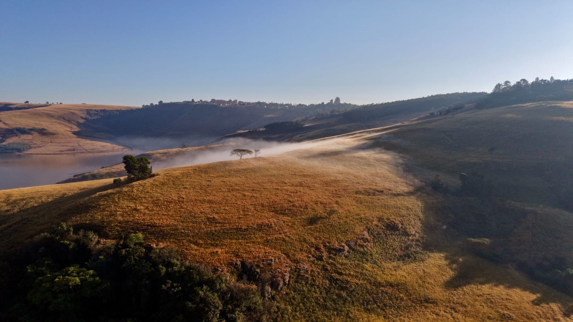 Rolling green hills of the Eastern Highlands with mist hanging in forested valleys near Nyanga, Zimbabwe