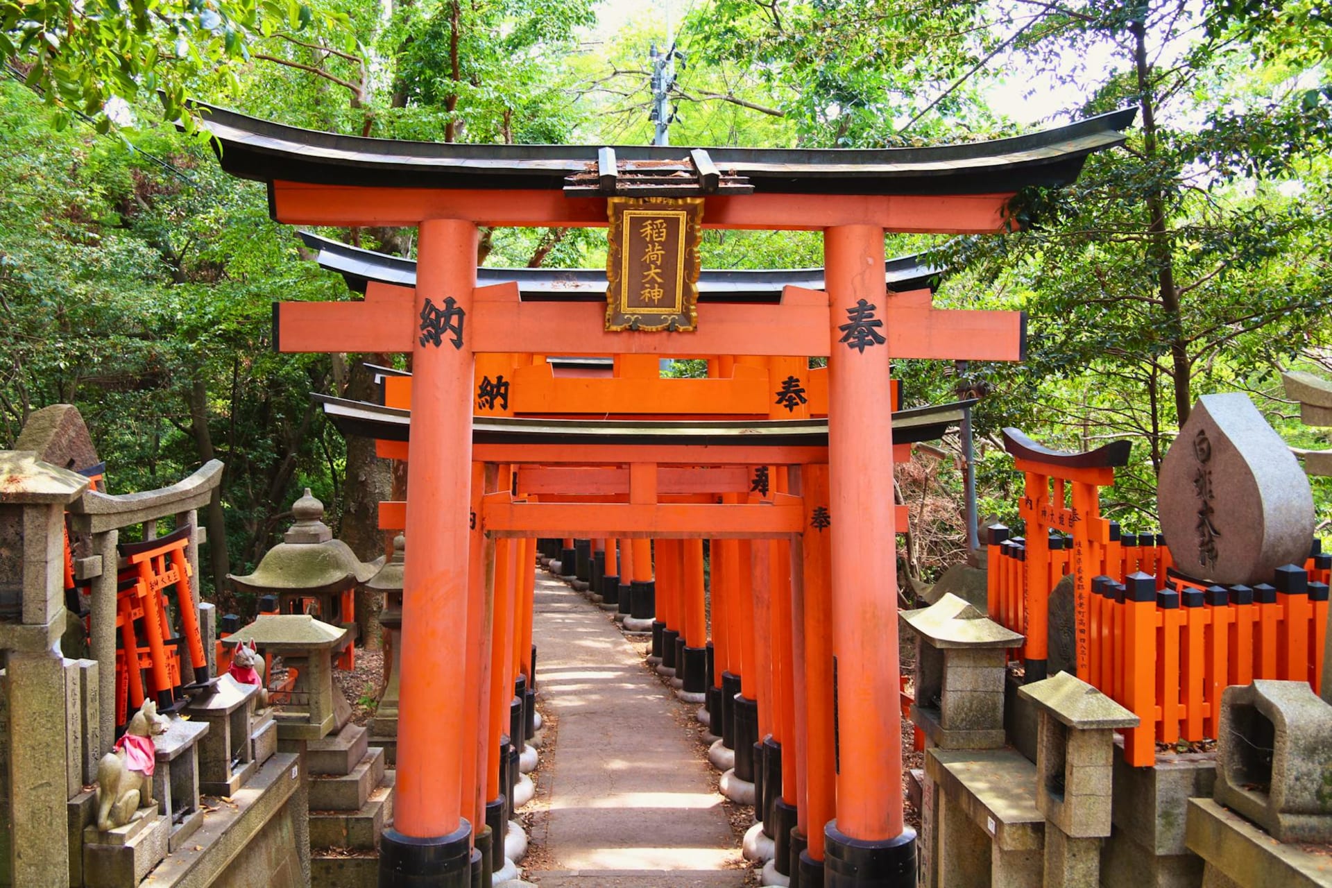 Un corredor de puertas torii bermellones ascendiendo por la ladera boscosa de Fushimi Inari Taisha, con la luz del sol filtrándose entre los postes.