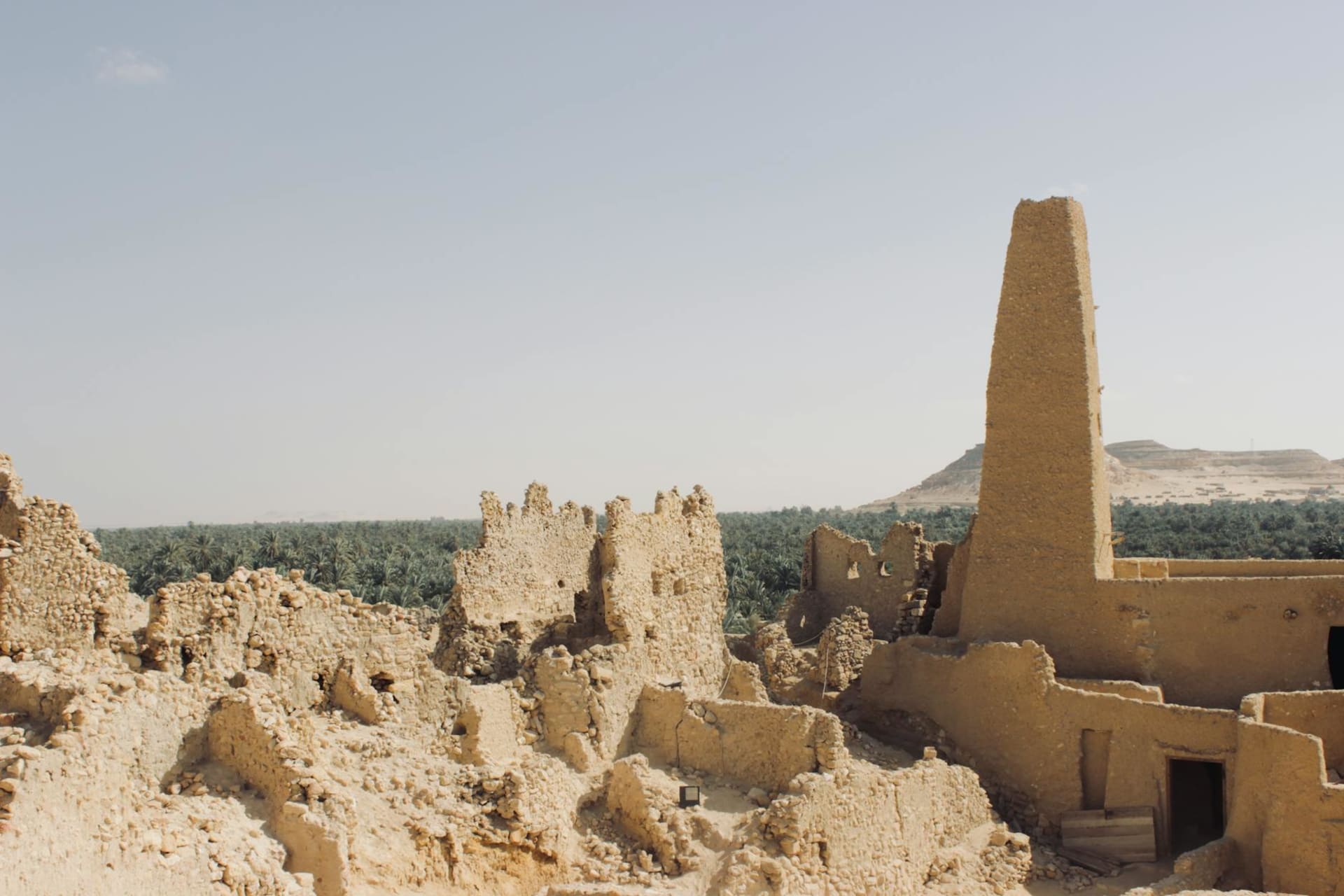Sandstone formations in AlUla valley at golden hour