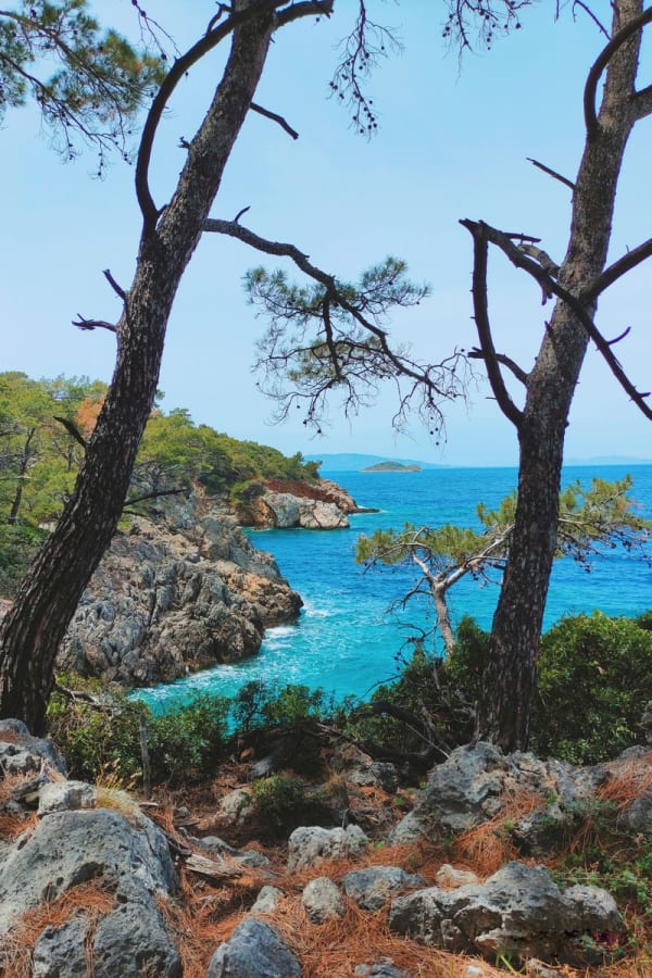 Aegean Coast