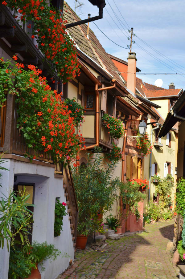 Alsace