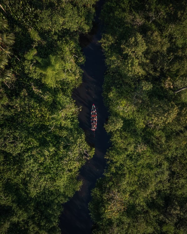 Peruvian Amazon
