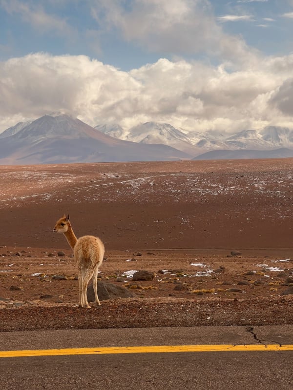 Atacama Desert