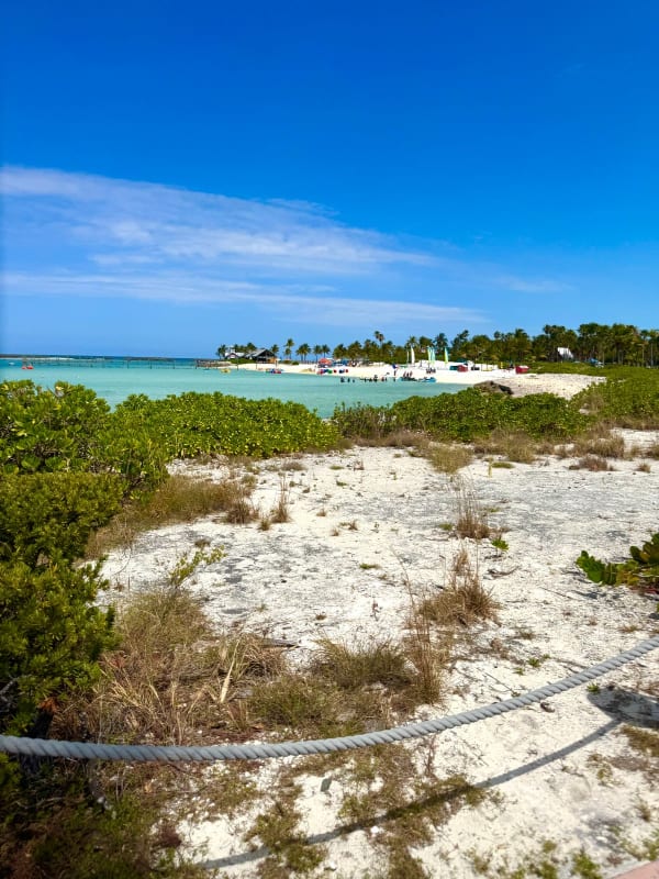 The Bahamas