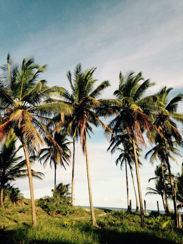 Bahia