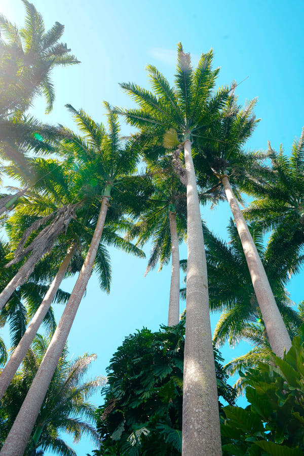 Barbados